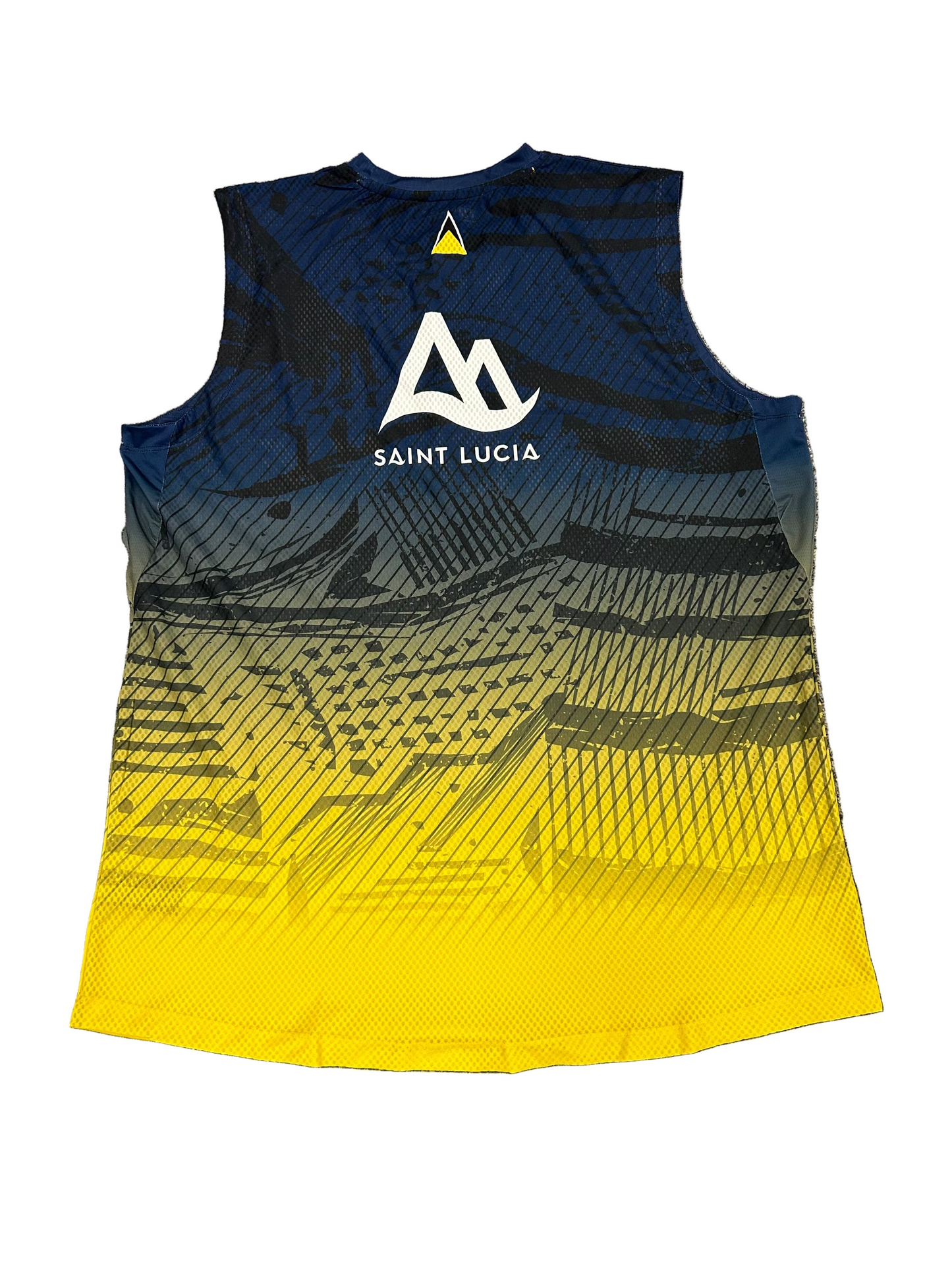 St Lucia Kings 2024 CPL Player Issue Training Vest