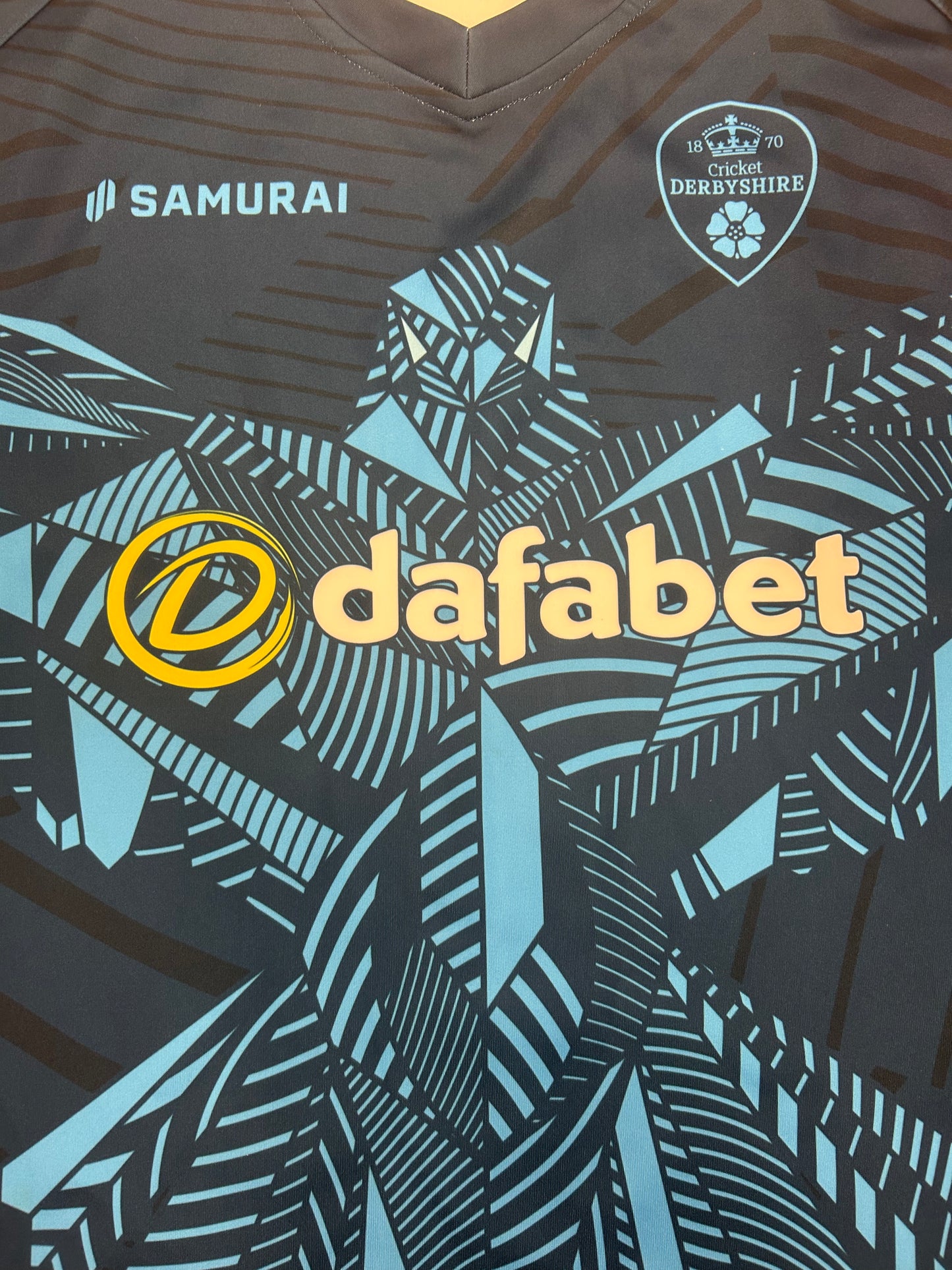 Harry Came Derbyshire 2024 T20 Match Worn LS Playing Jumper