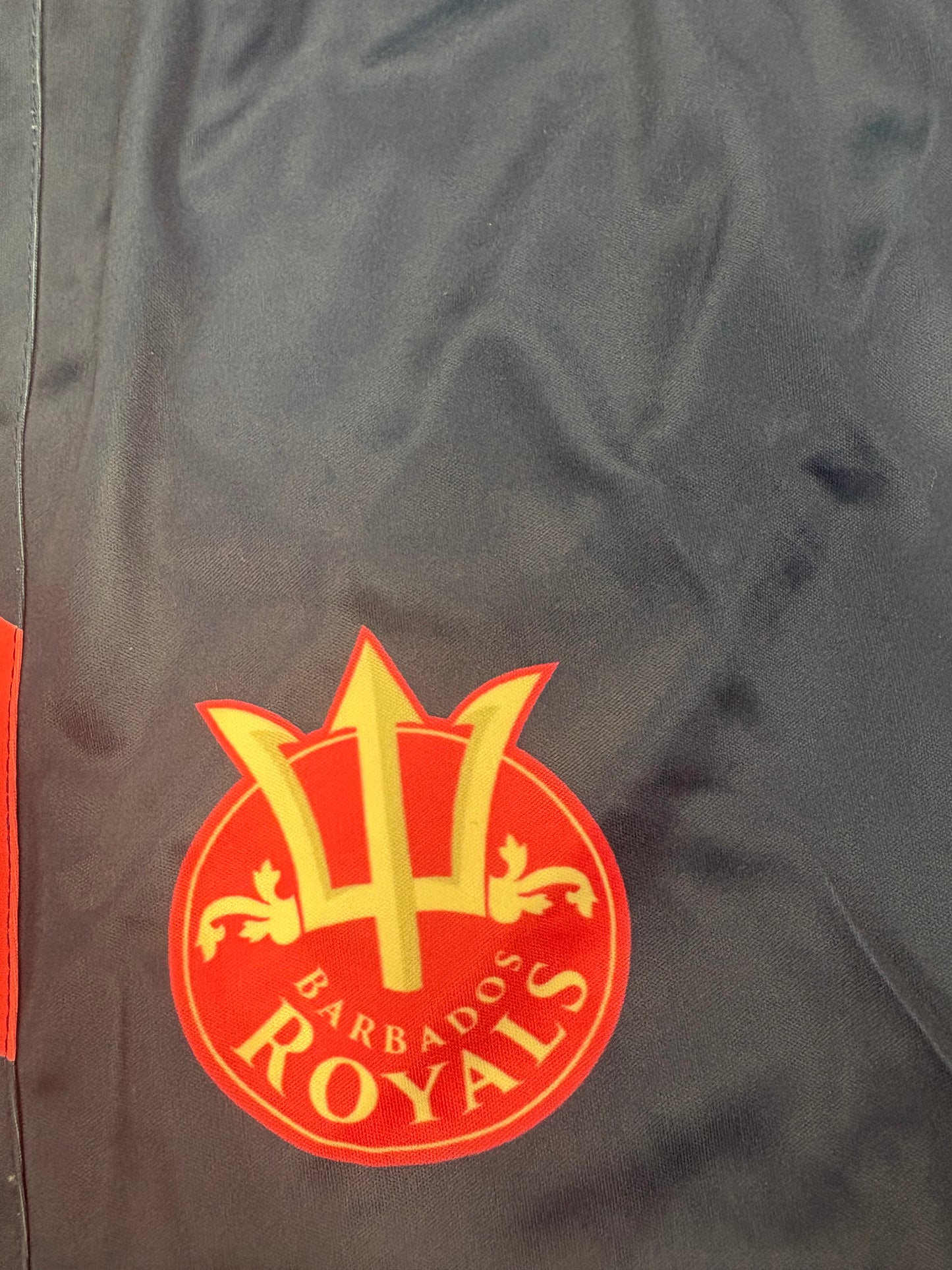 Barbados Royals 2024 CPL Player Issue Training Shorts