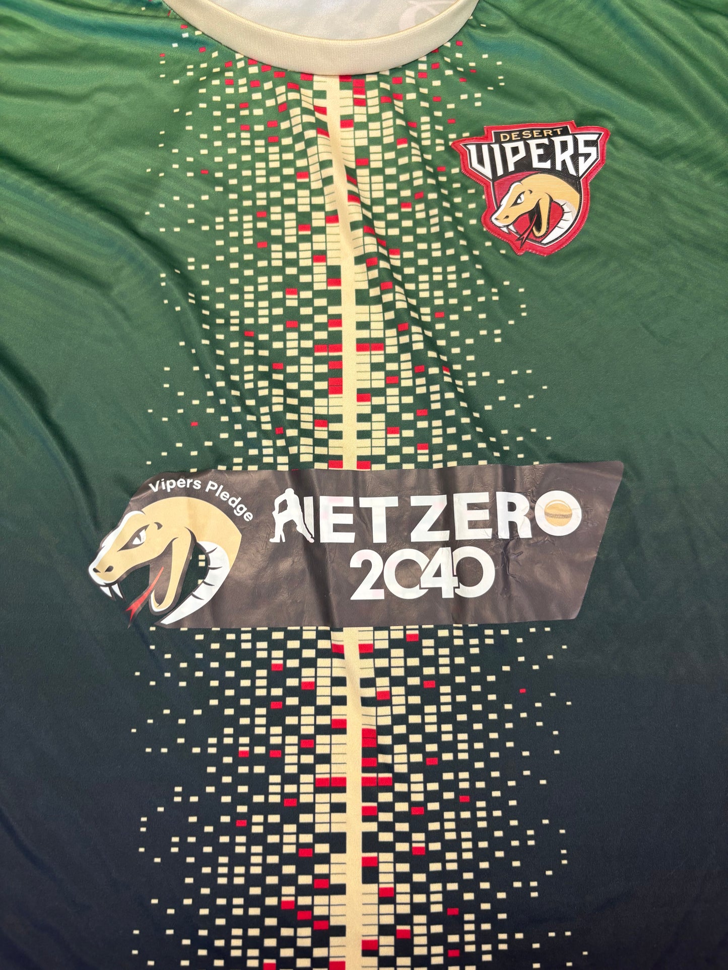 Desert Vipers 2024 ILT20 Player Issue SS Training T-Shirt