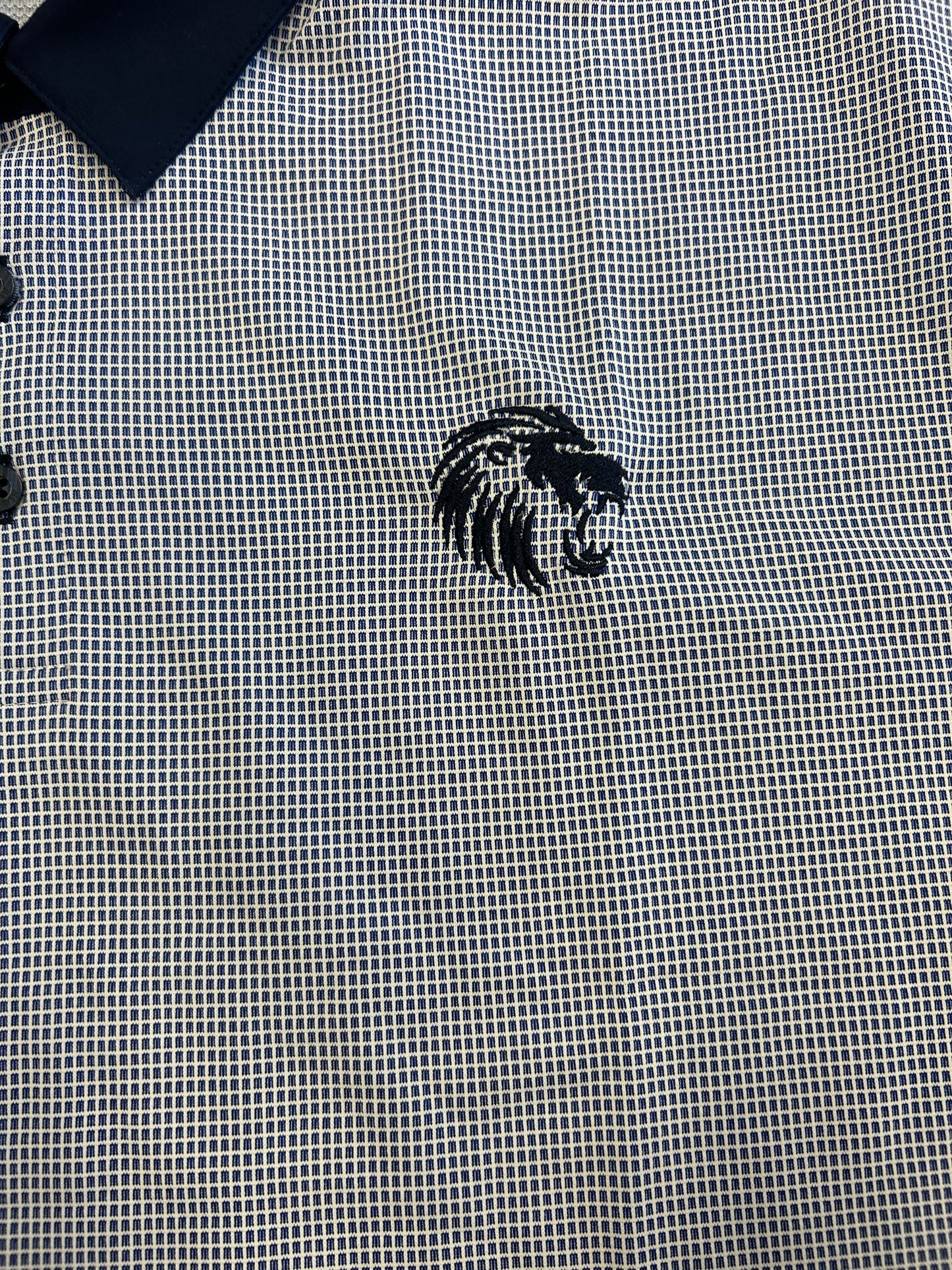 Punjab Kings 2025 IPL Player Issue Travel Polo