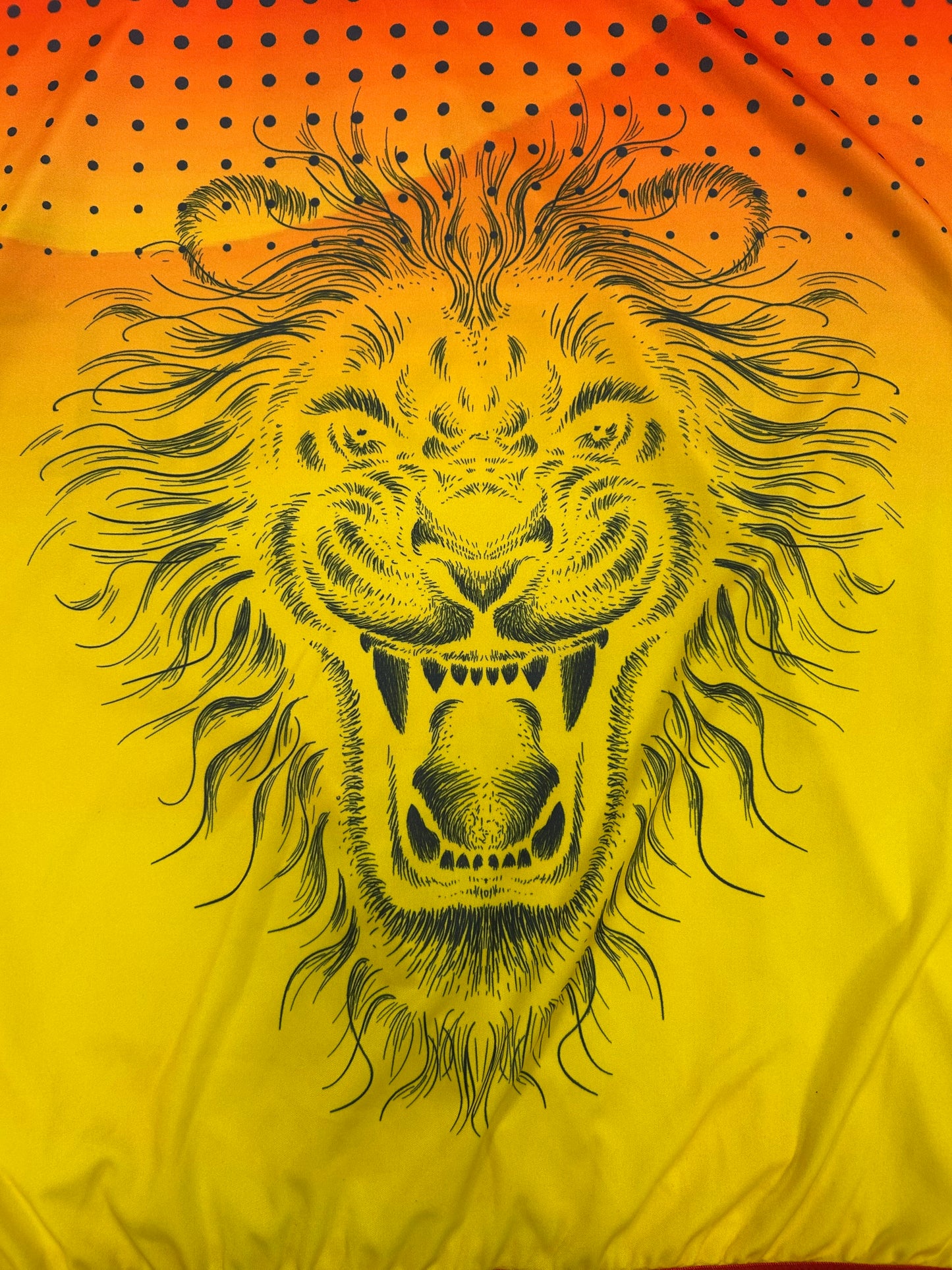 Wesley Marshall Central Gauteng Lions 1DC Match Worn SS Playing Shirt