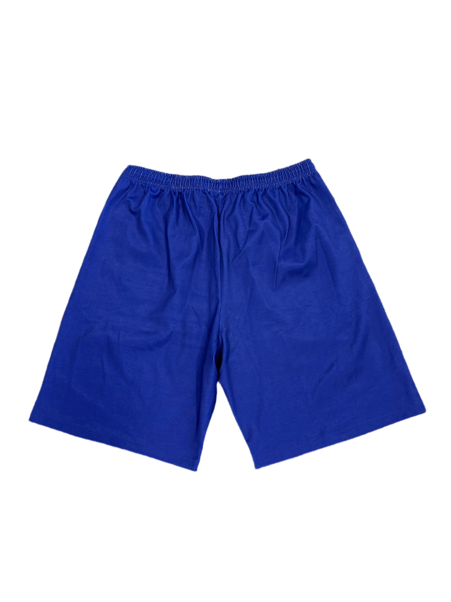 Delhi Capitals IPL Player Issue Training Shorts