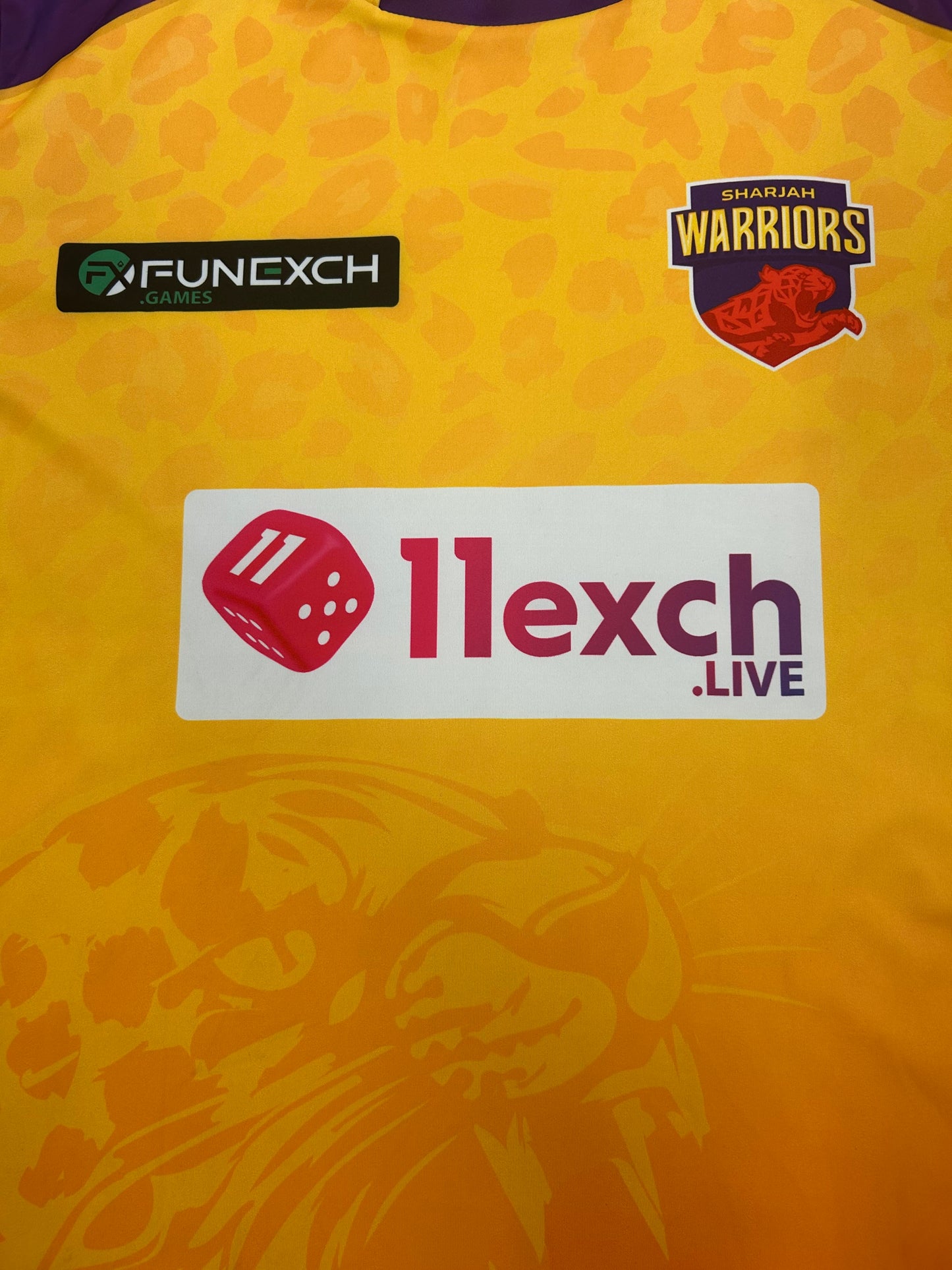 Lewis Gregory Sharjah Warriors 2024 ILT20 Match Worn SS Playing Shirt