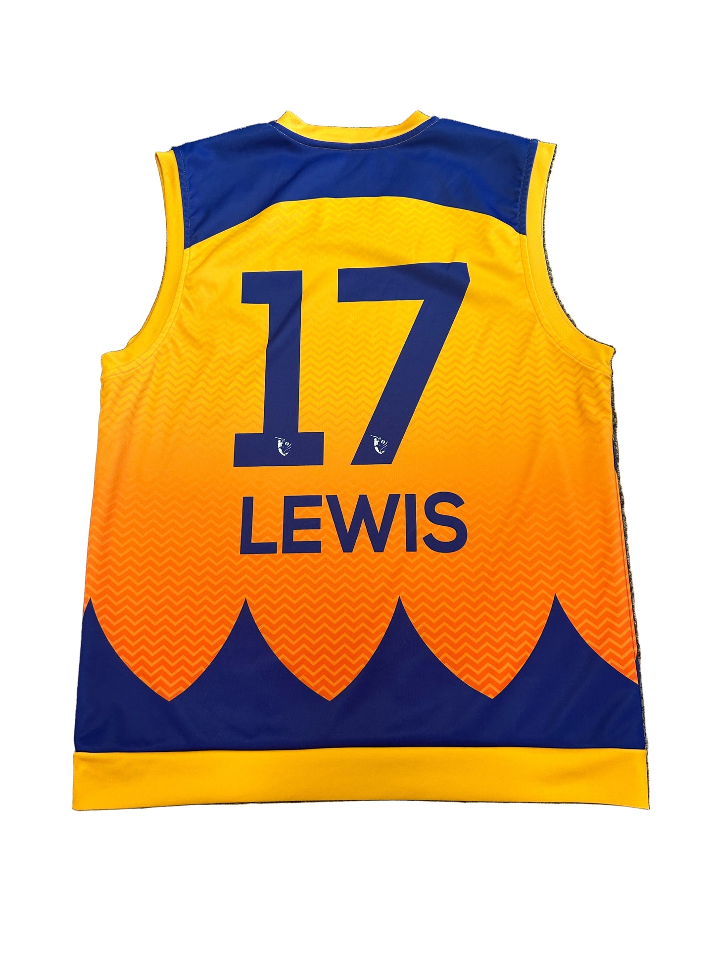 Evin Lewis Sharjah Warriors 2023 ILT20 Match Worn Playing Pullover