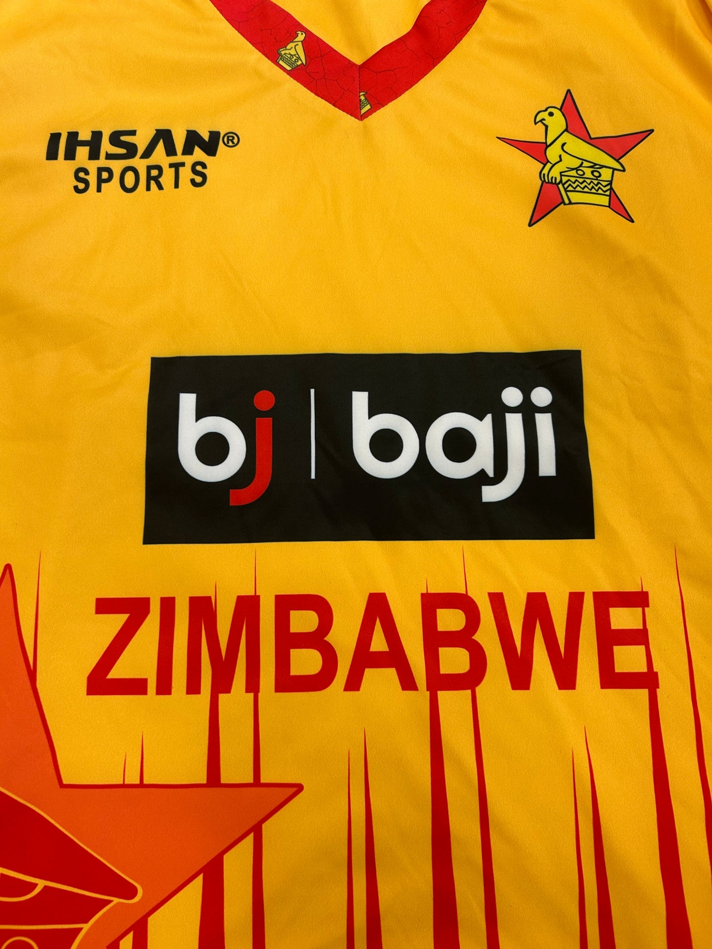 Zimbabwe 2024 T20 Player Issue LS Playing Jumper
