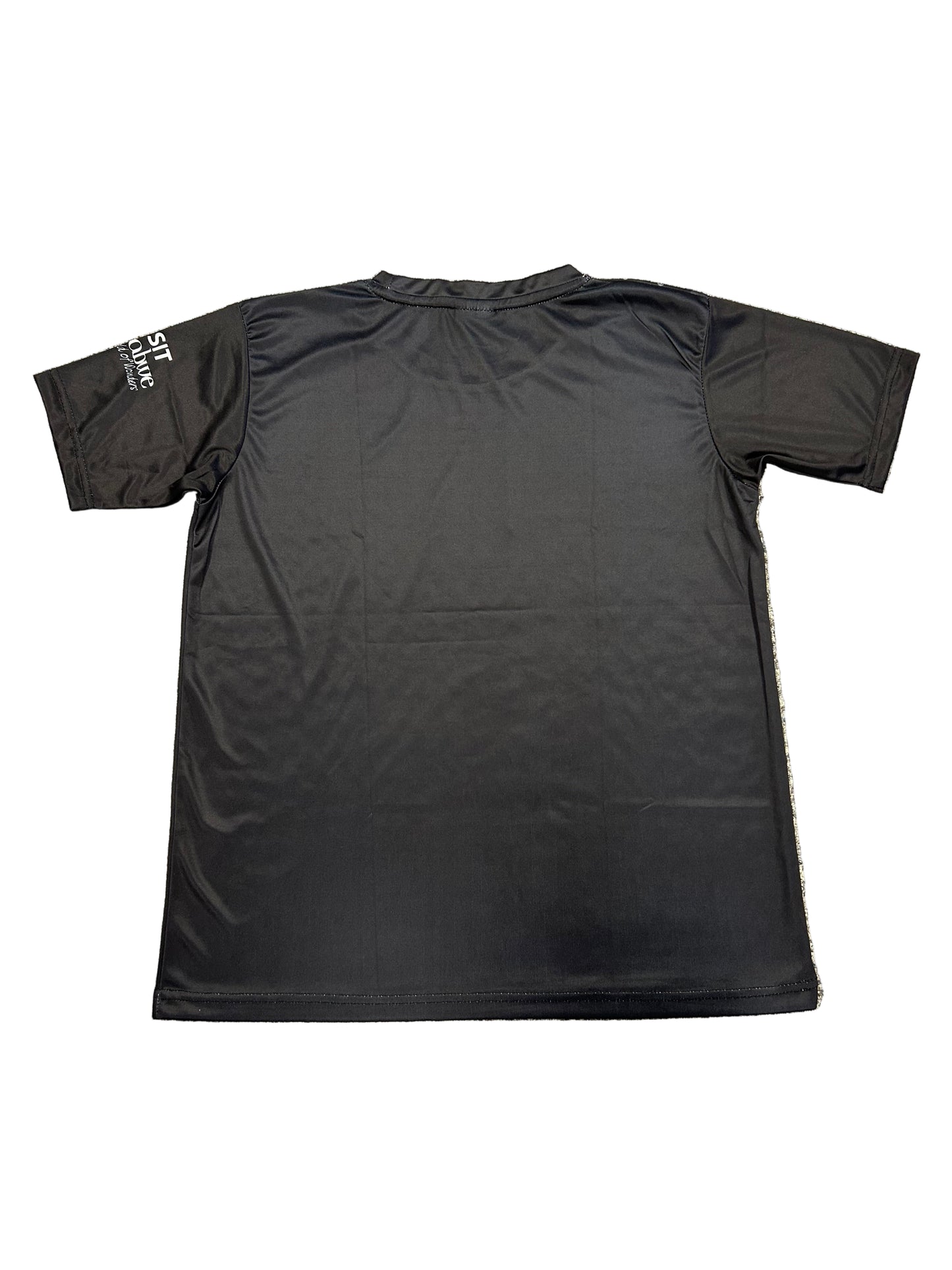 Zimbabwe 2025 Player Issue SS Training T-Shirt