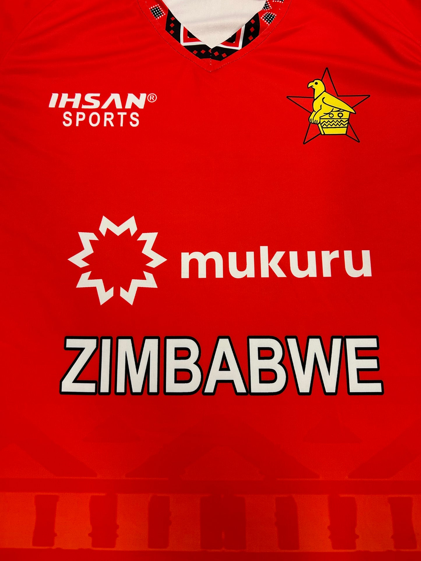 Zimbabwe 2025 ODI Player Issue SS Playing Shirt