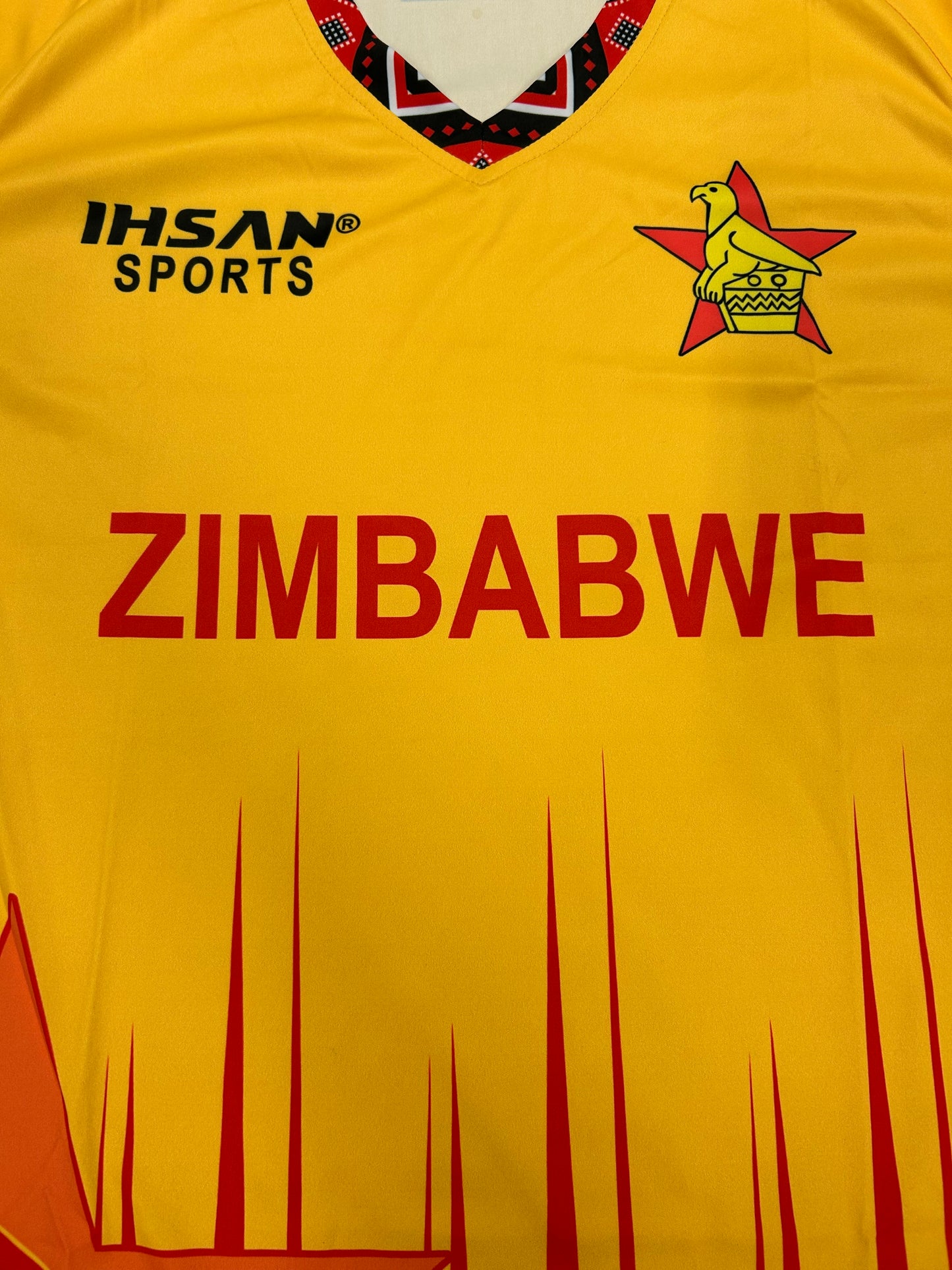 Zimbabwe 2025 T20 Player Issue SS Playing Shirt