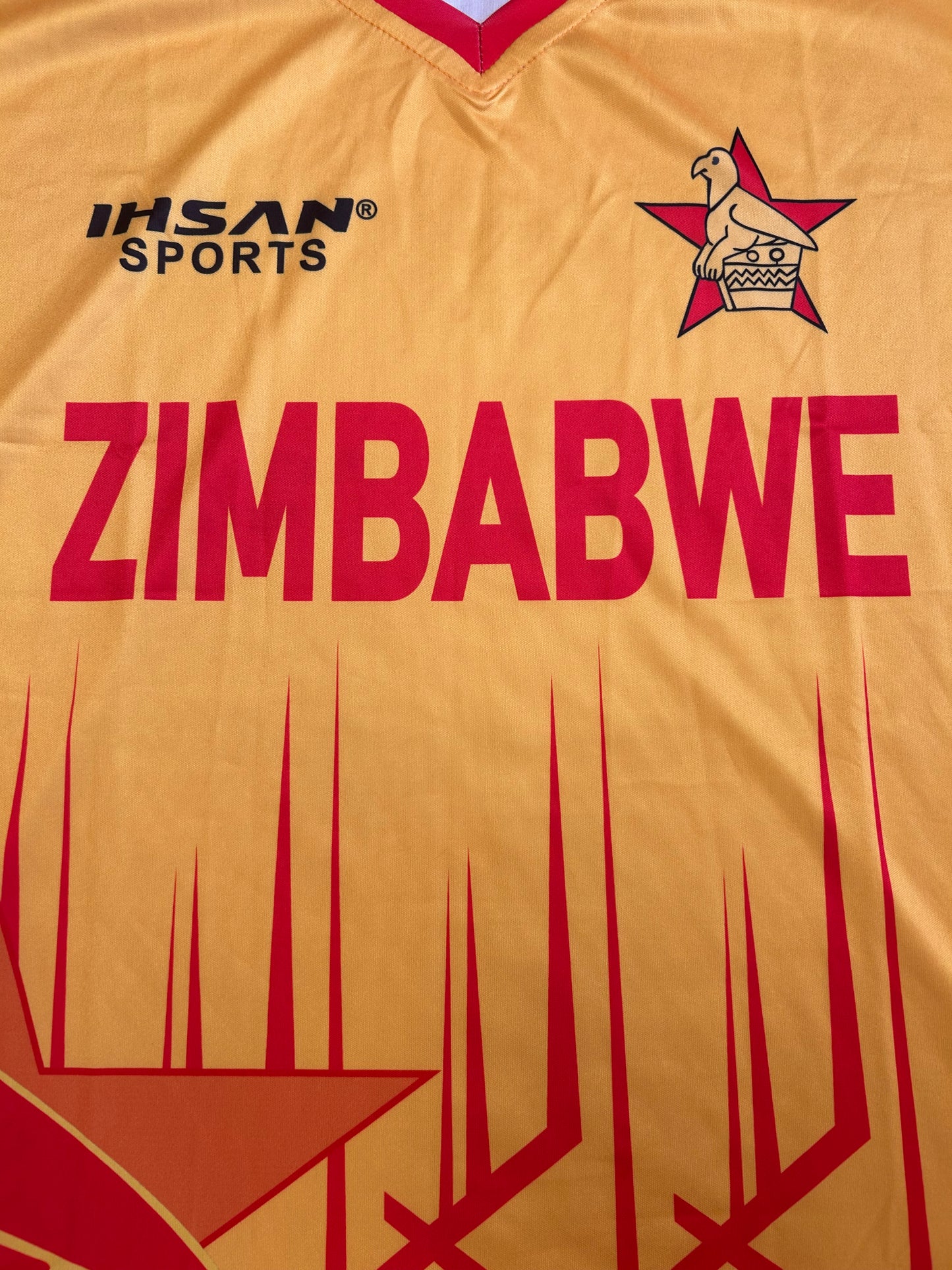 Zimbabwe 2022/23 T20 Player Issue SS Playing Shirt