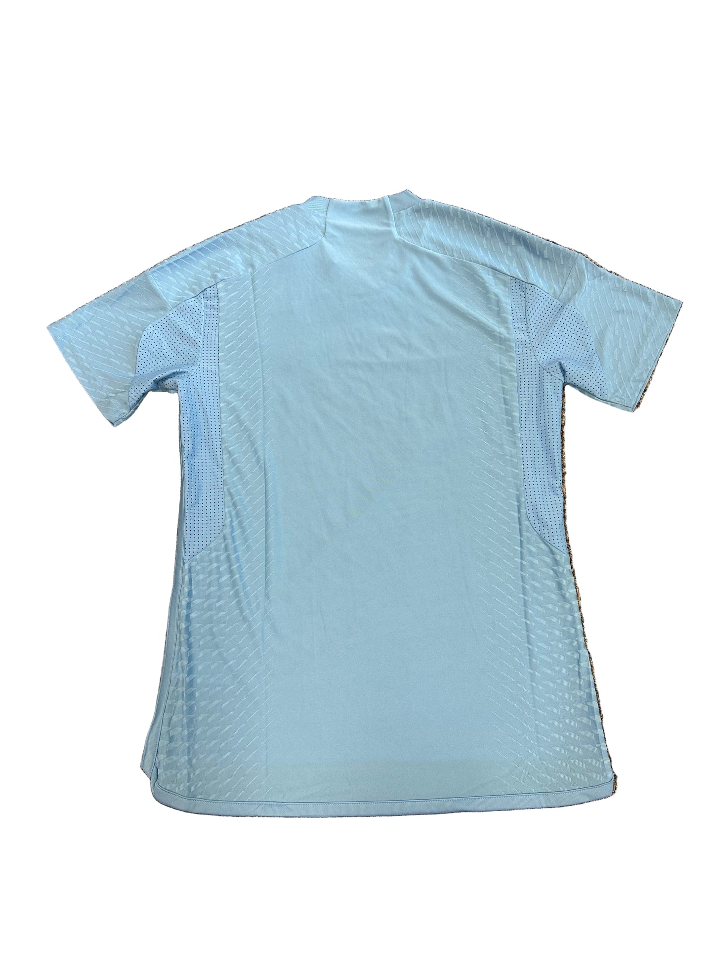India 2023 Player Issue SS Training T-Shirt