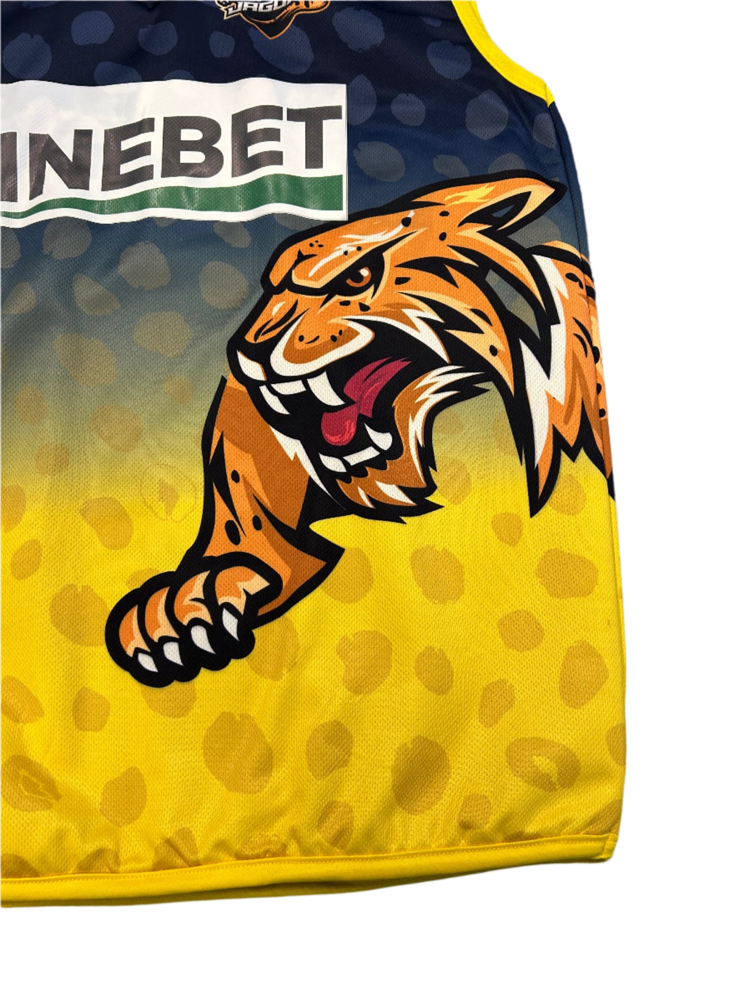 Kirk McKenzie Bulawayo Brave Jaguars 2024 ZimAfro T10 Match Worn Playing Pullover