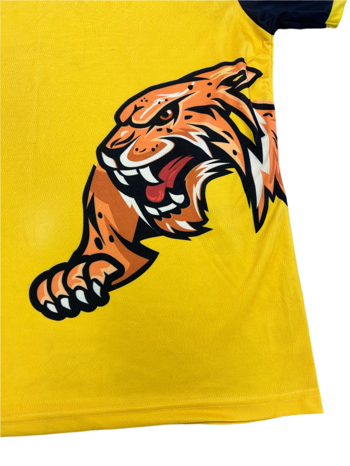 Bulawayo Brave Jaguars 2024 ZimAfro T10 Player Issue SS Training T-Shirt
