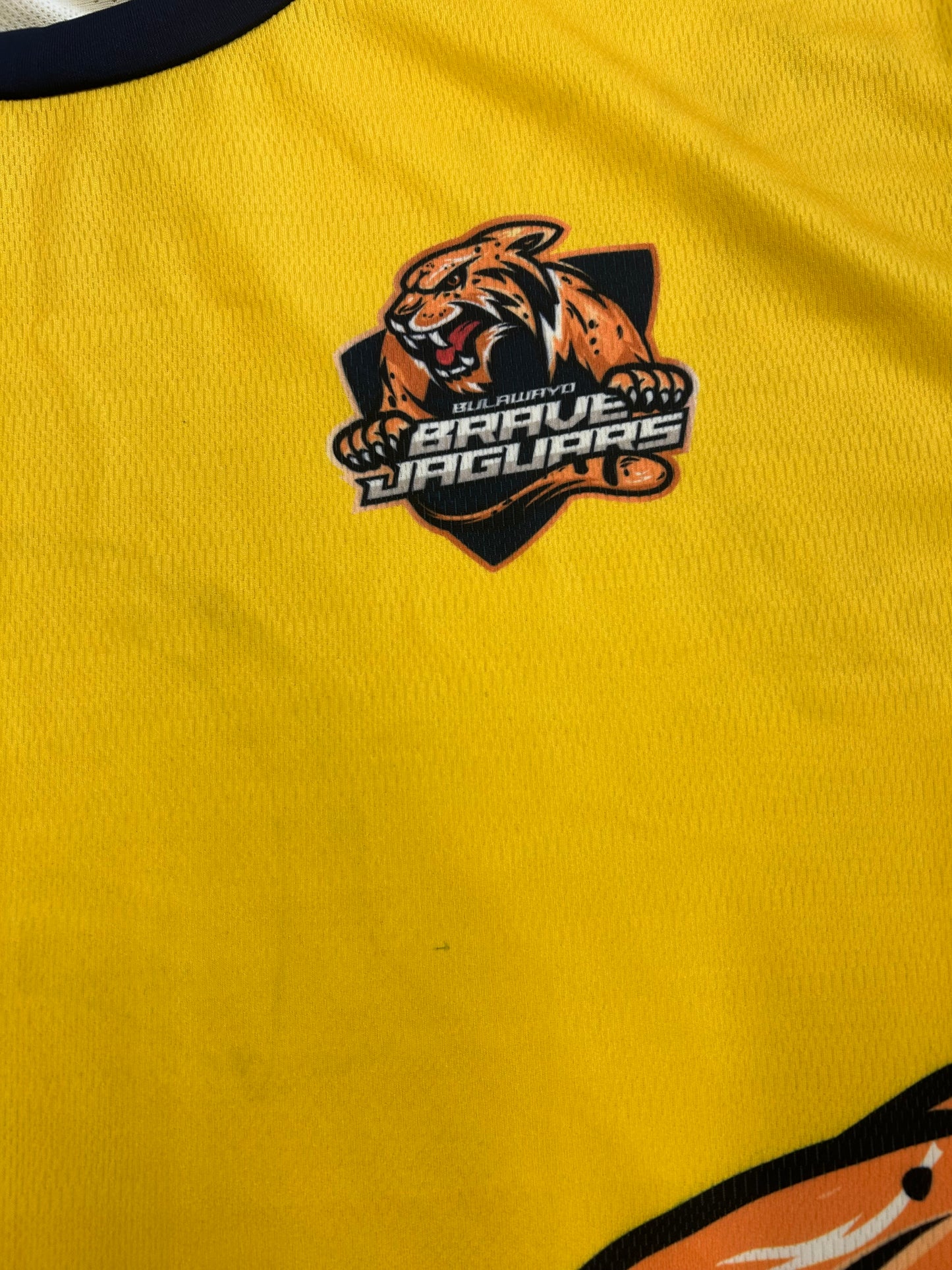 Bulawayo Brave Jaguars 2024 ZimAfro T10 Player Issue SS Training T-Shirt