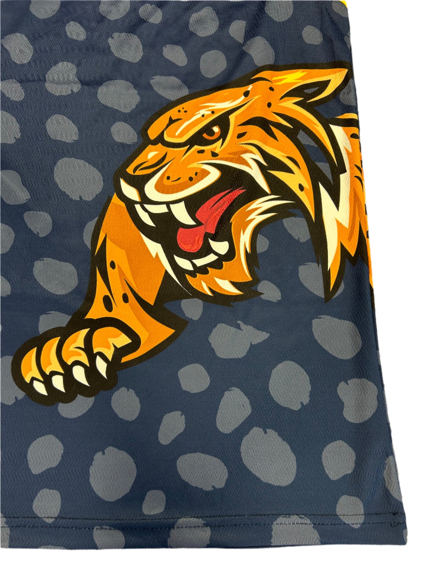 Dan Lawrence Chennai Brave Jaguars 2024 ABDT10 Player Issue Training Vest