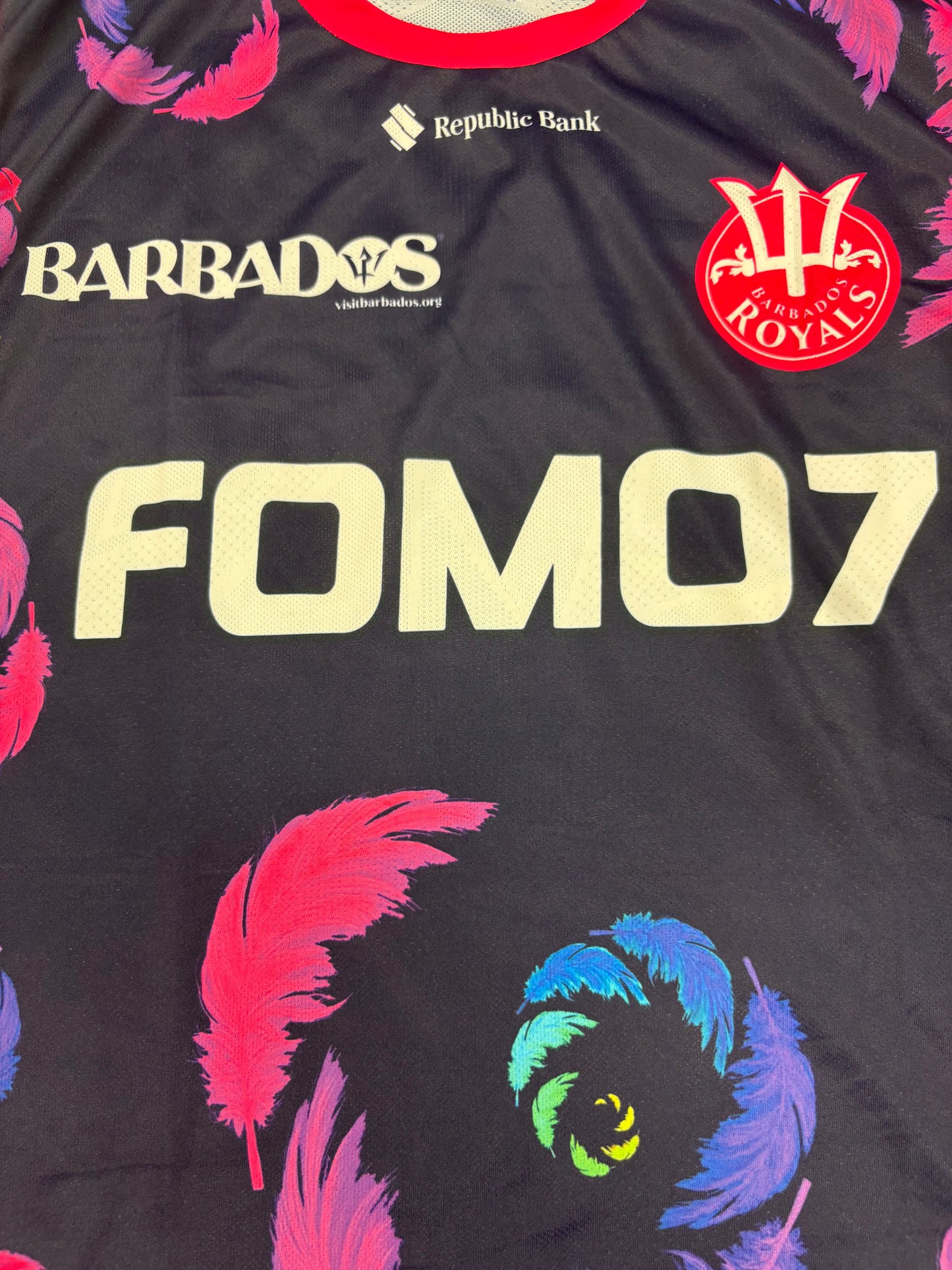 Barbados Royals 2024 CPL Player Issue Training Vest