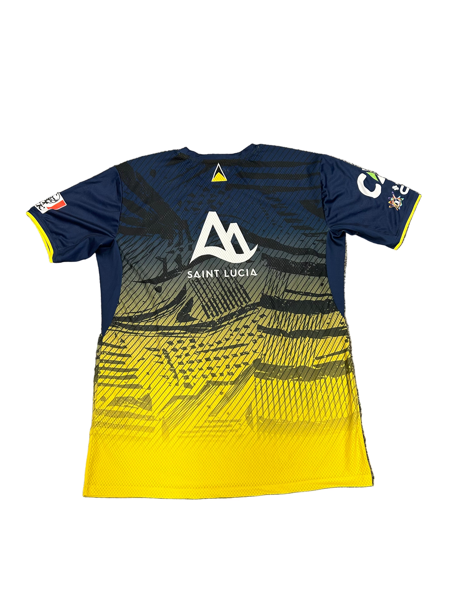 St Lucia Kings 2024 CPL Player Issue SS Training T-Shirt