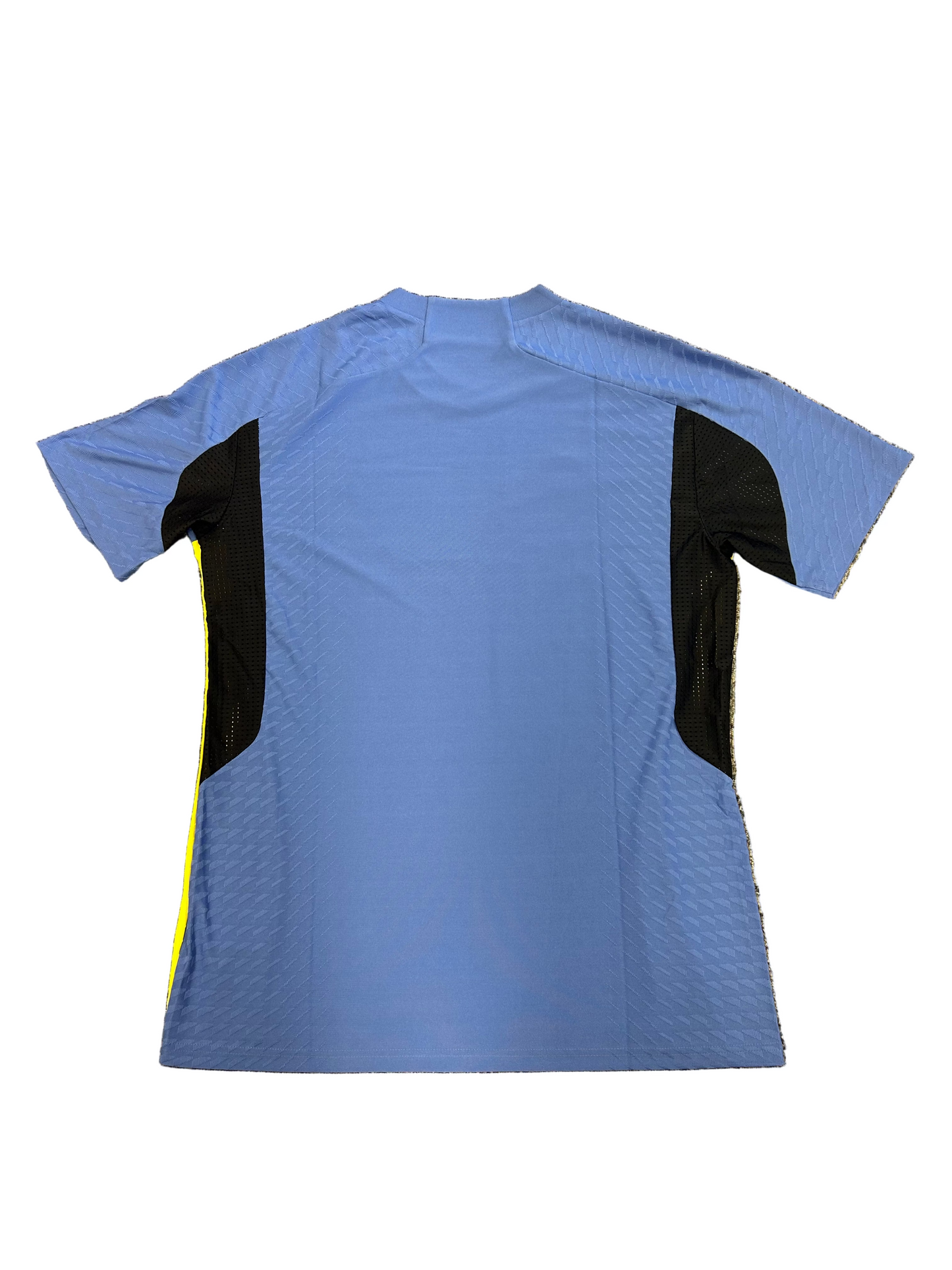 India 2024 Player Issue SS Training T-Shirt