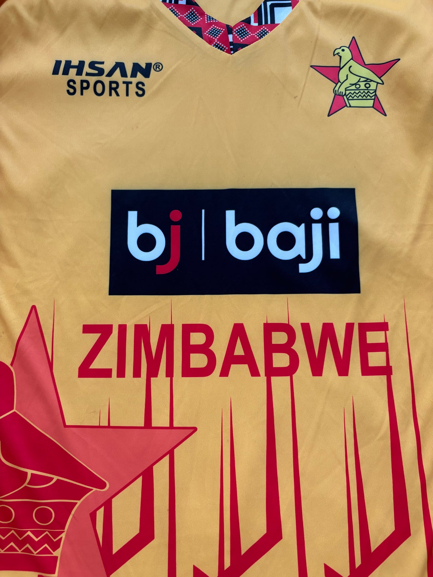 Luke Jongwe Zimbabwe 2024 T20 Match Worn LS Playing Jumper