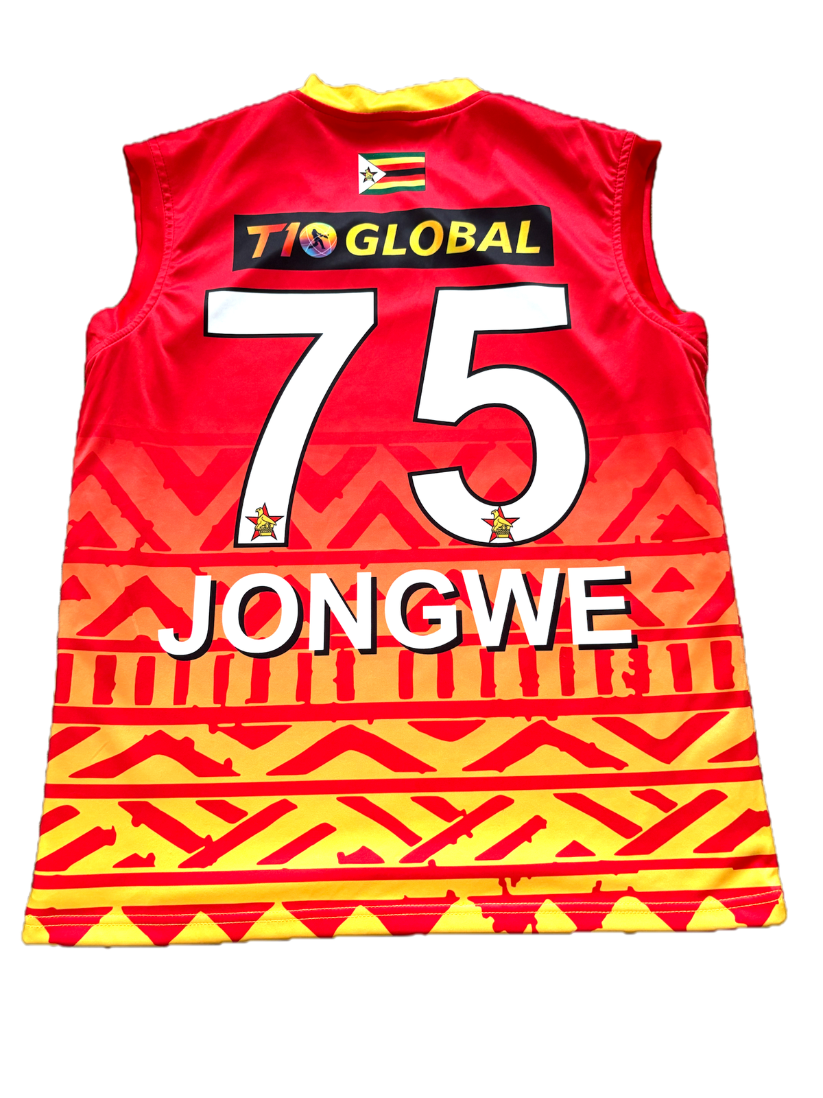 Luke Jongwe Zimbabwe 2024 ODI Match Worn Playing Pullover