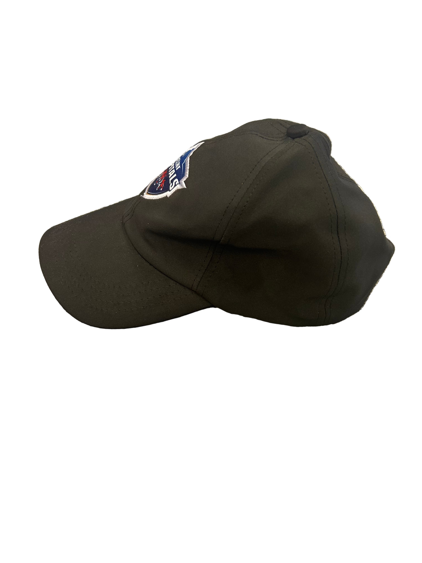 Delhi Capitals IPL Player Issue Training Hat