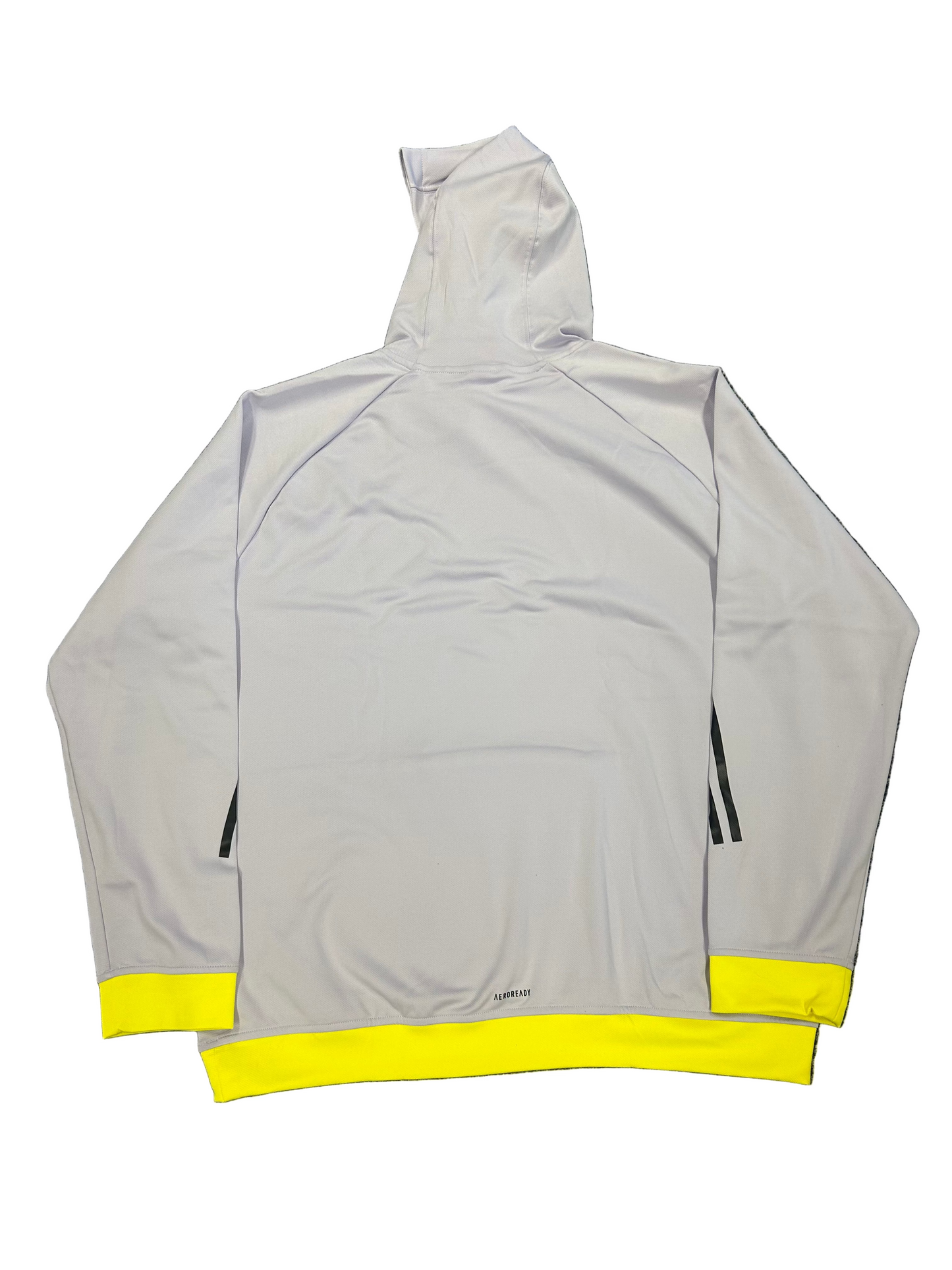 India 2025 Player Issue Training Hoodie