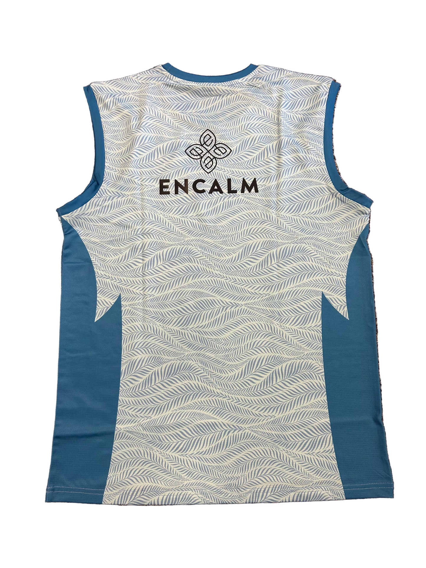 Dubai Capitals 2025 ILT20 Player Issue Training Vest