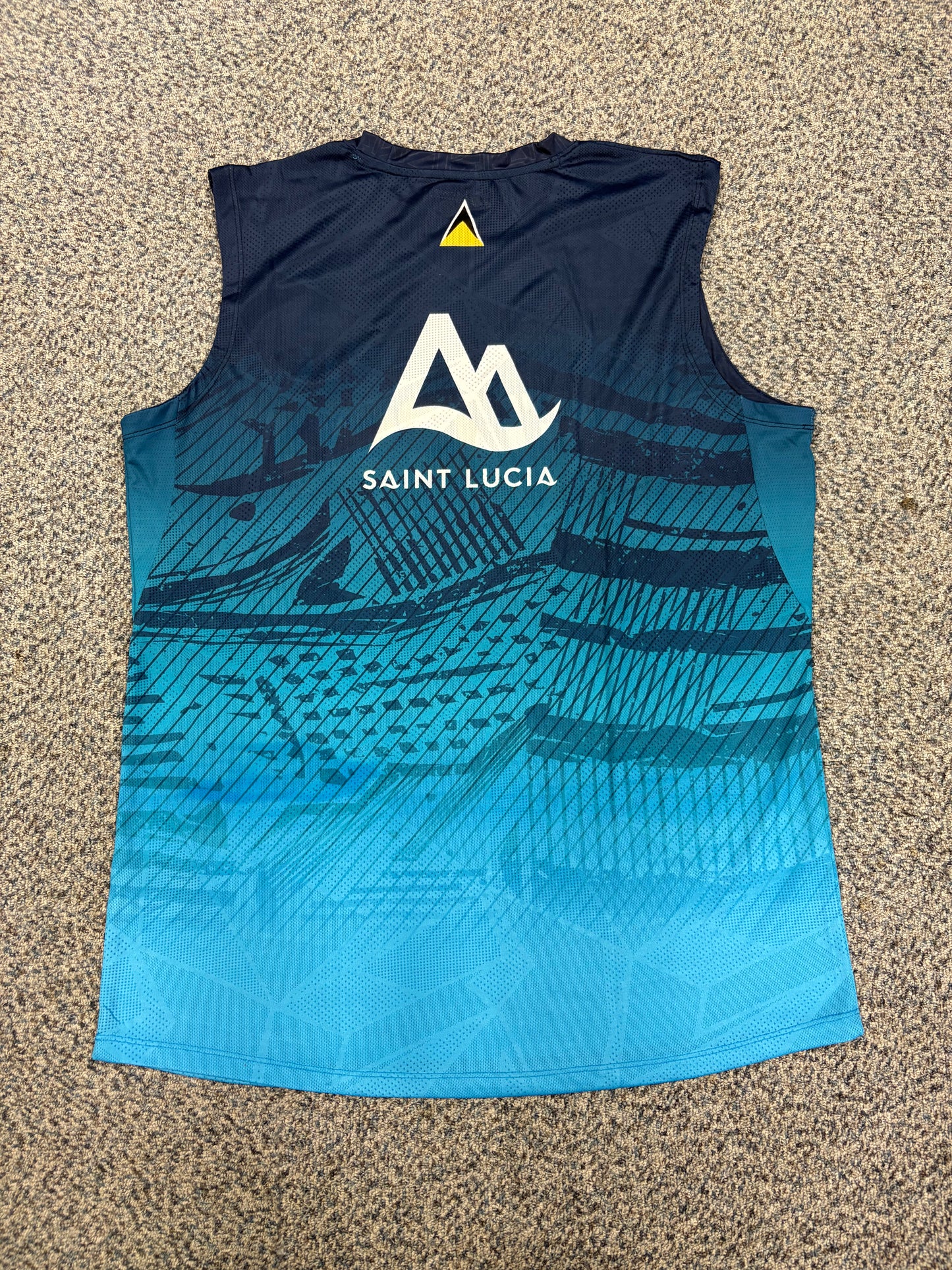 St Lucia Kings 2025 CPL Player Issue Training Vest