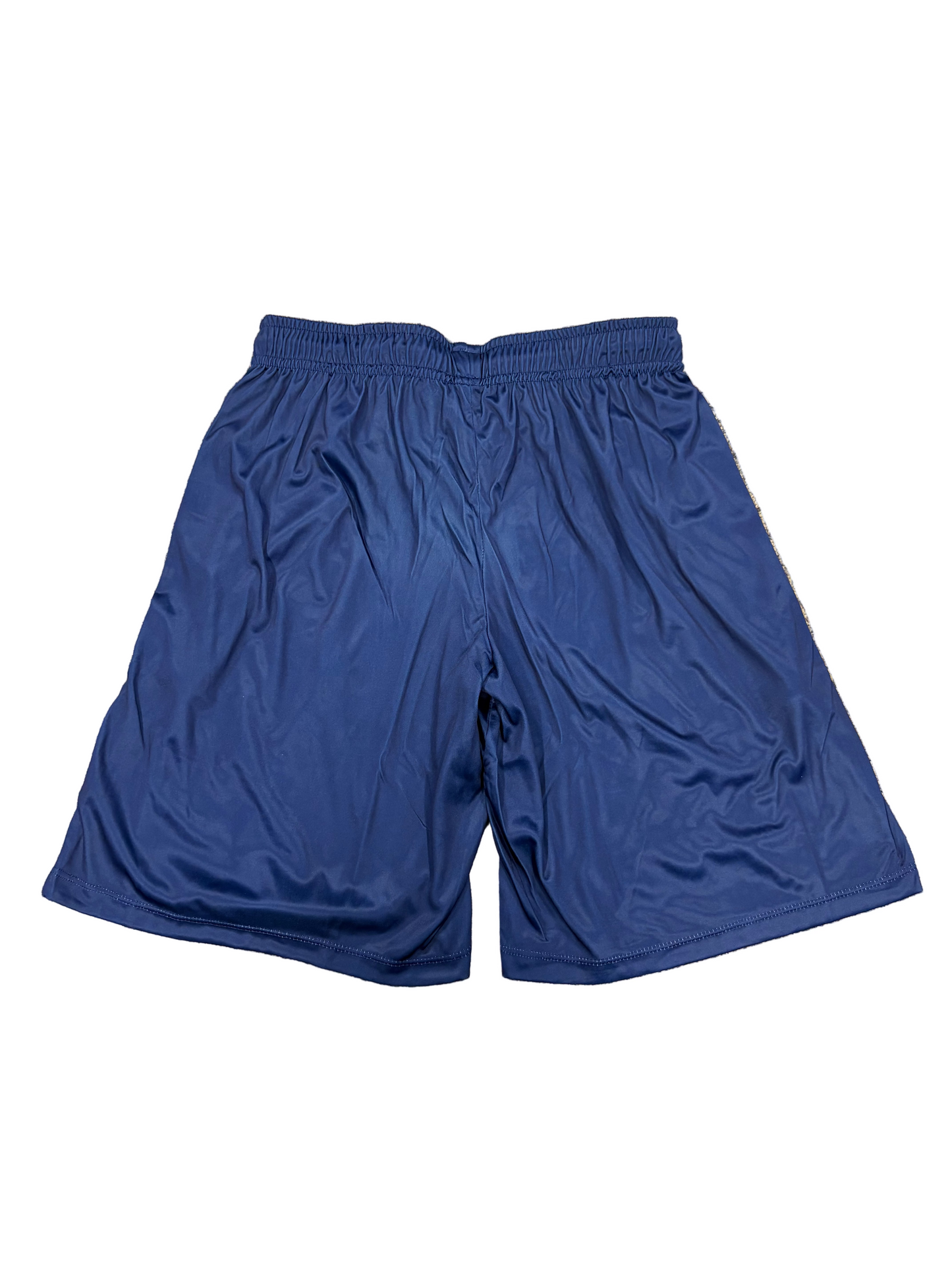 Barbados Royals 2024 CPL Player Issue Training Shorts
