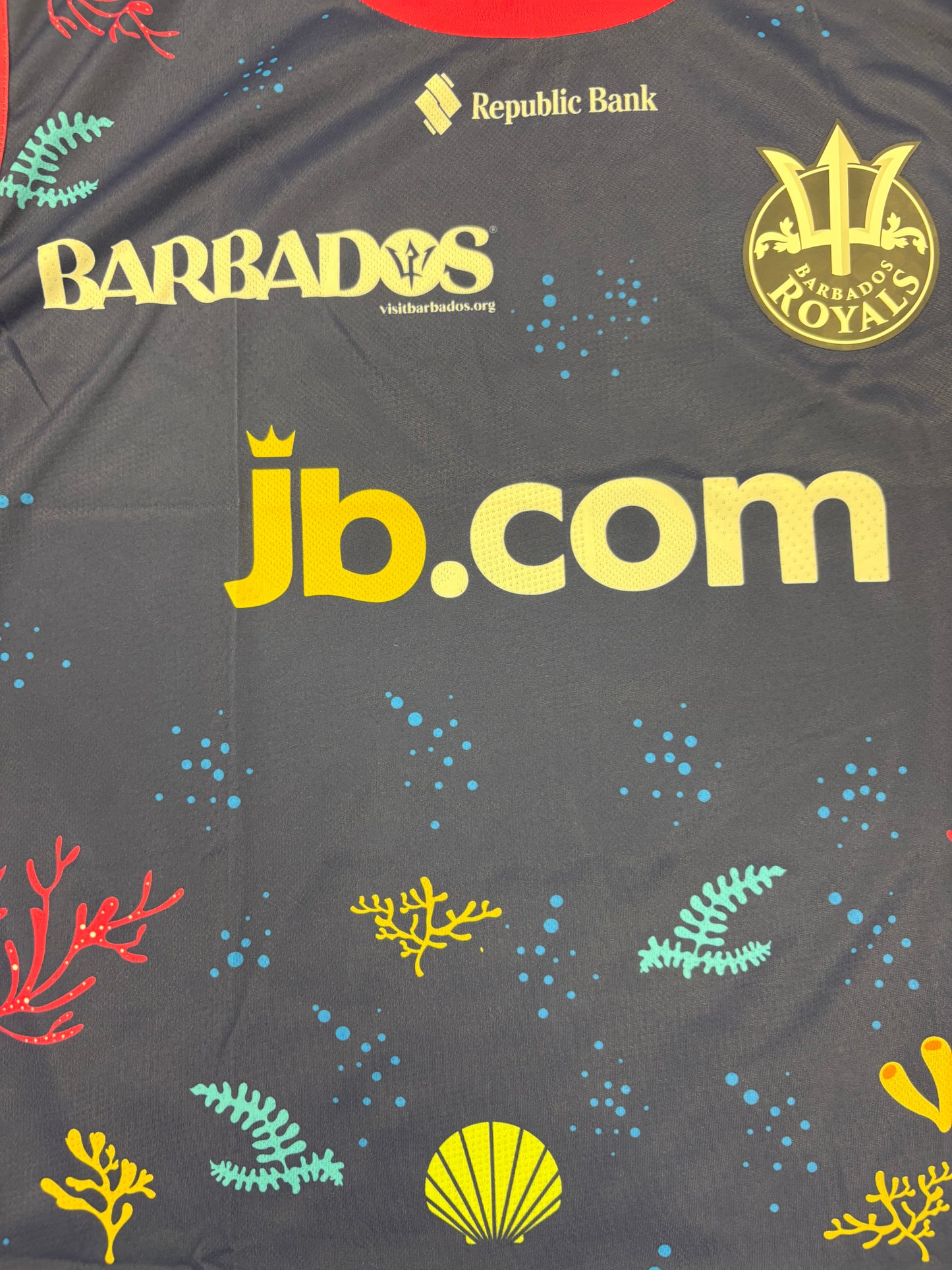 Barbados Royals 2025 CPL Player Issue Sleeveless Training Vest