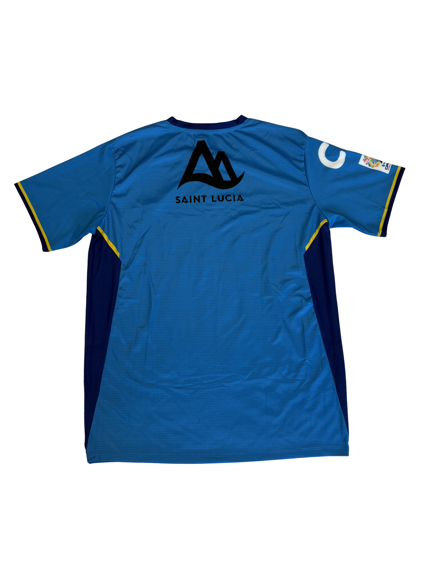 St Lucia Kings 2023 CPL Player Issue SS Training T-Shirt