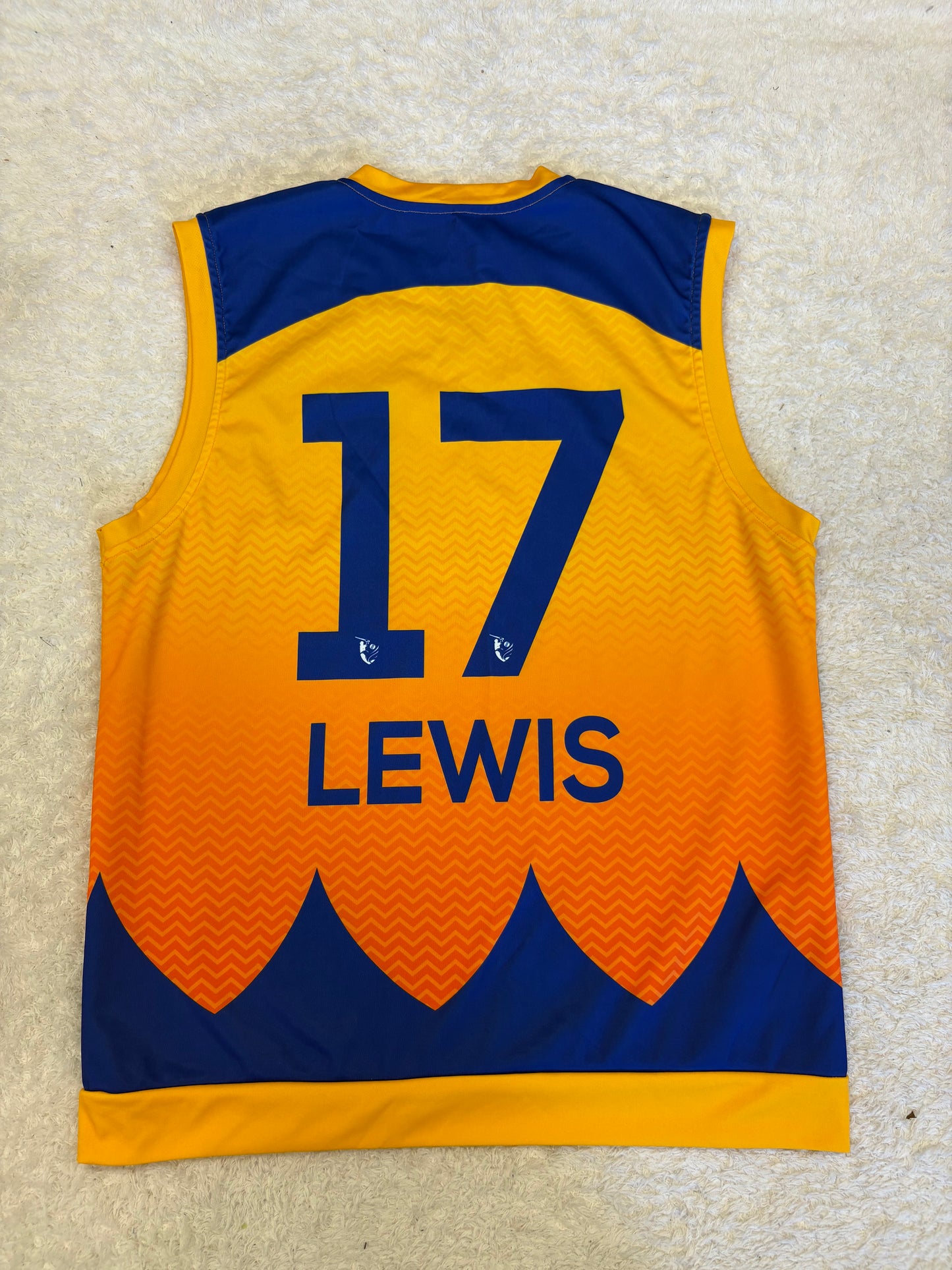 Evin Lewis Sharjah Warriors 2023 ILT20 Match Worn Playing Pullover