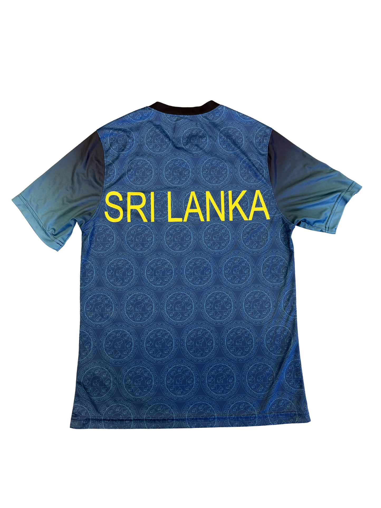 Sri Lanka 2024 Player Issue SS Training T-Shirt