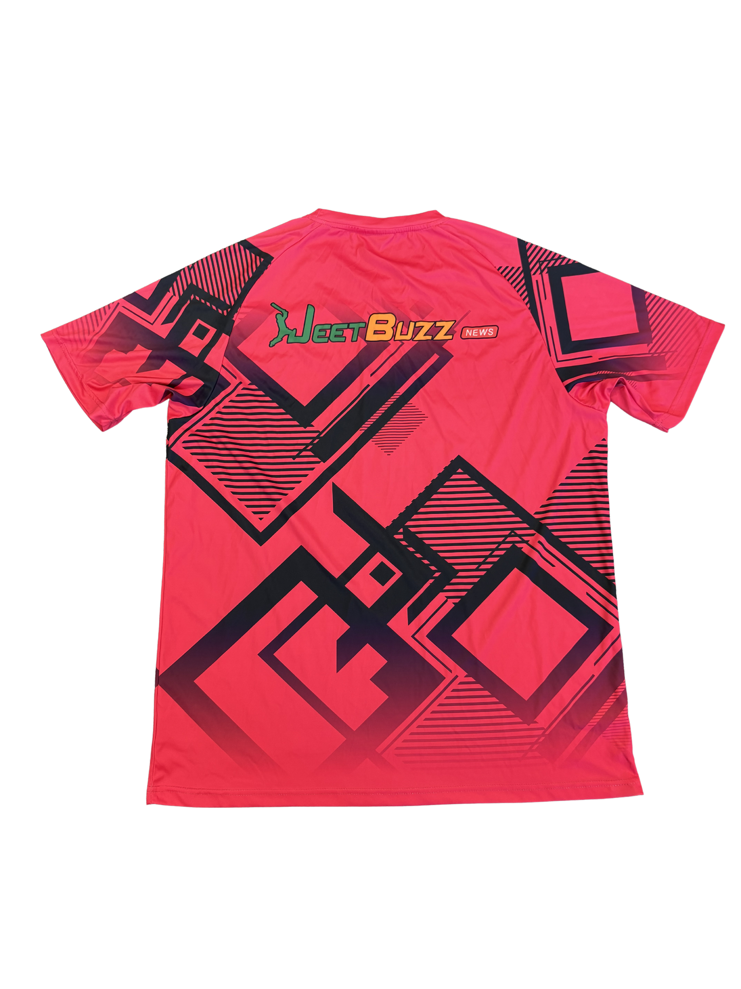 Delhi Bulls 2025 ABDT10 Player Issue SS Training T-Shirt