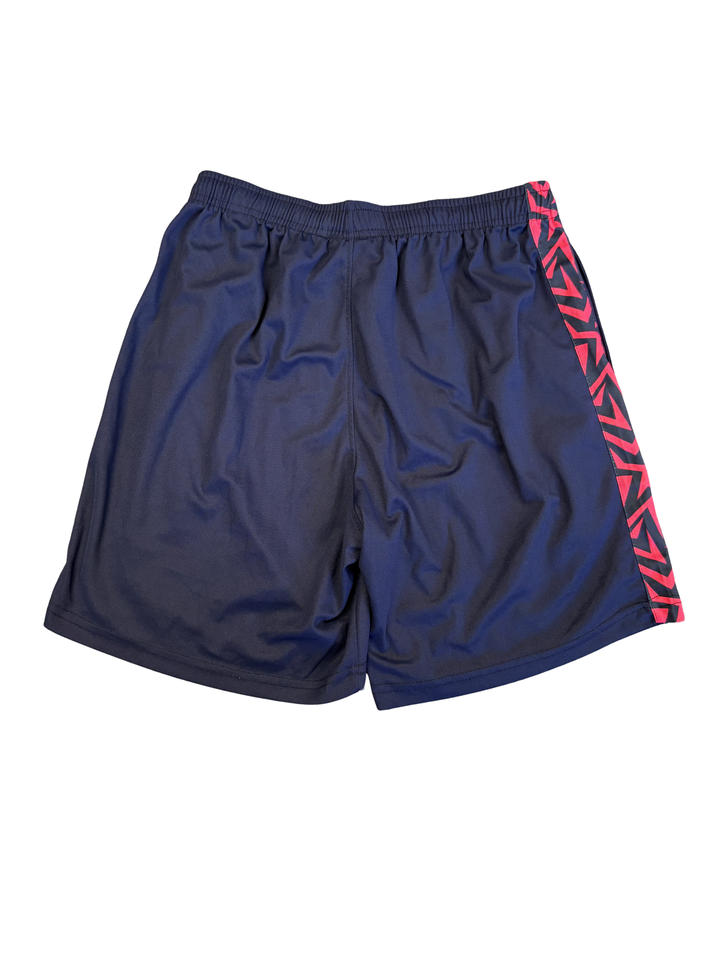 Delhi Bulls 2024 ABDT10 Player Issue Training Shorts