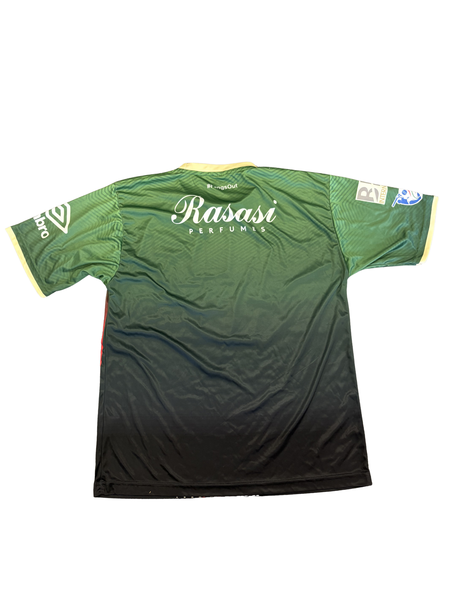 Desert Vipers 2024 ILT20 Player Issue SS Training T-Shirt