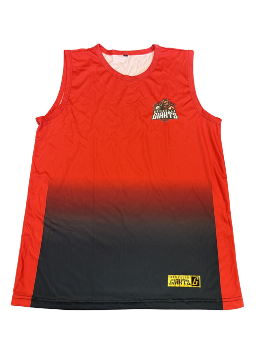 Dambulla Giants LPL Player Issue Sleeveless Training Vest