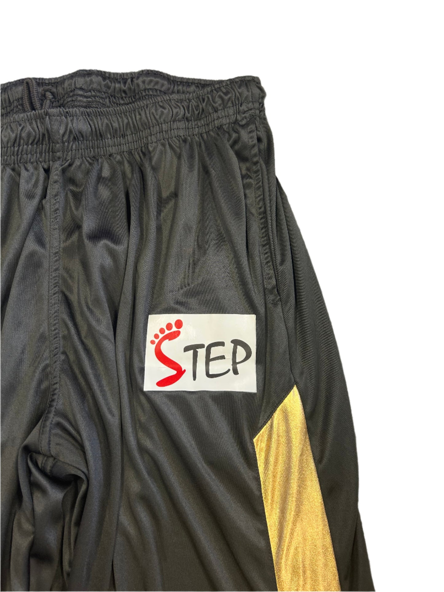 Durdanto Dhaka 2023 BPL Match Worn Playing Trousers