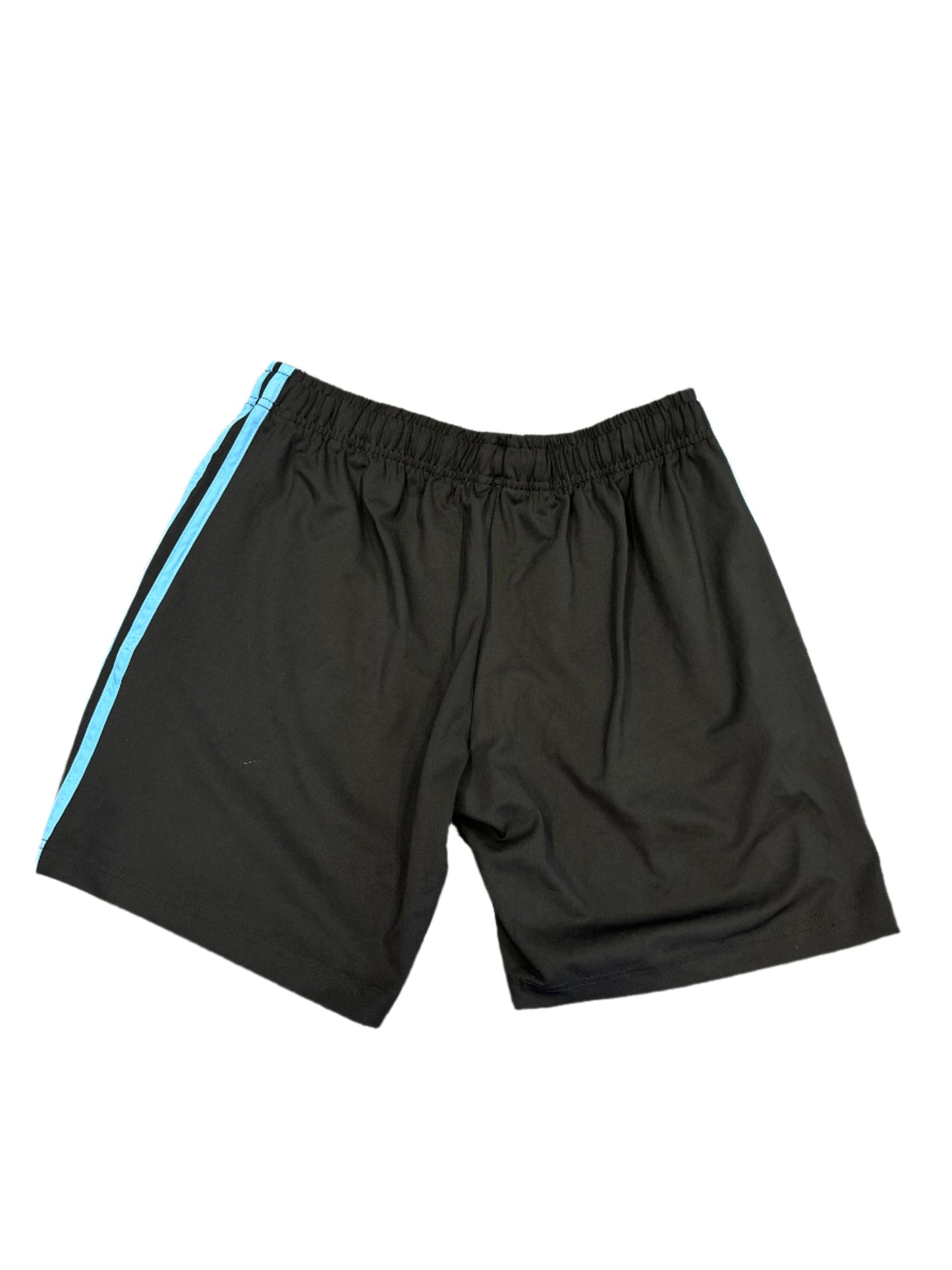 Delhi Capitals IPL Player Issue Training Shorts