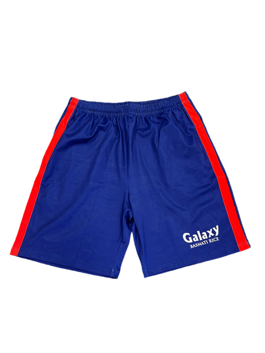 Delhi Capitals IPL Player Issue Training Shorts