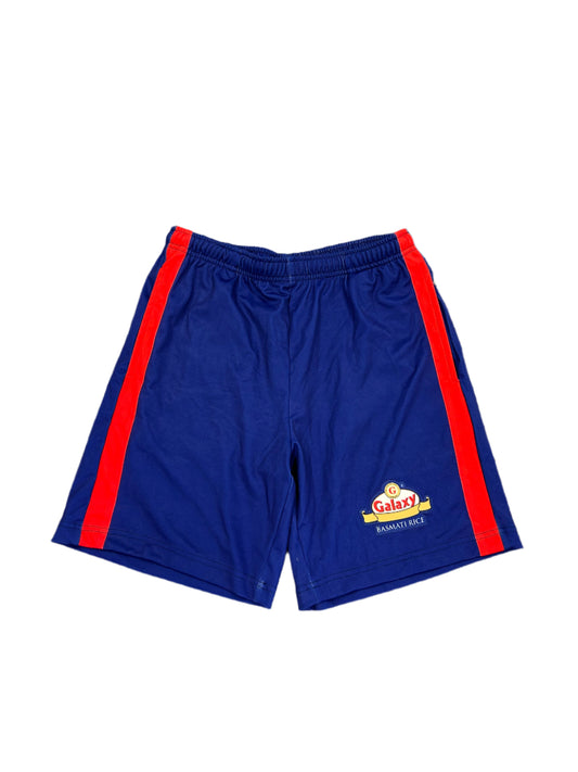 Delhi Capitals IPL Player Issue Training Shorts