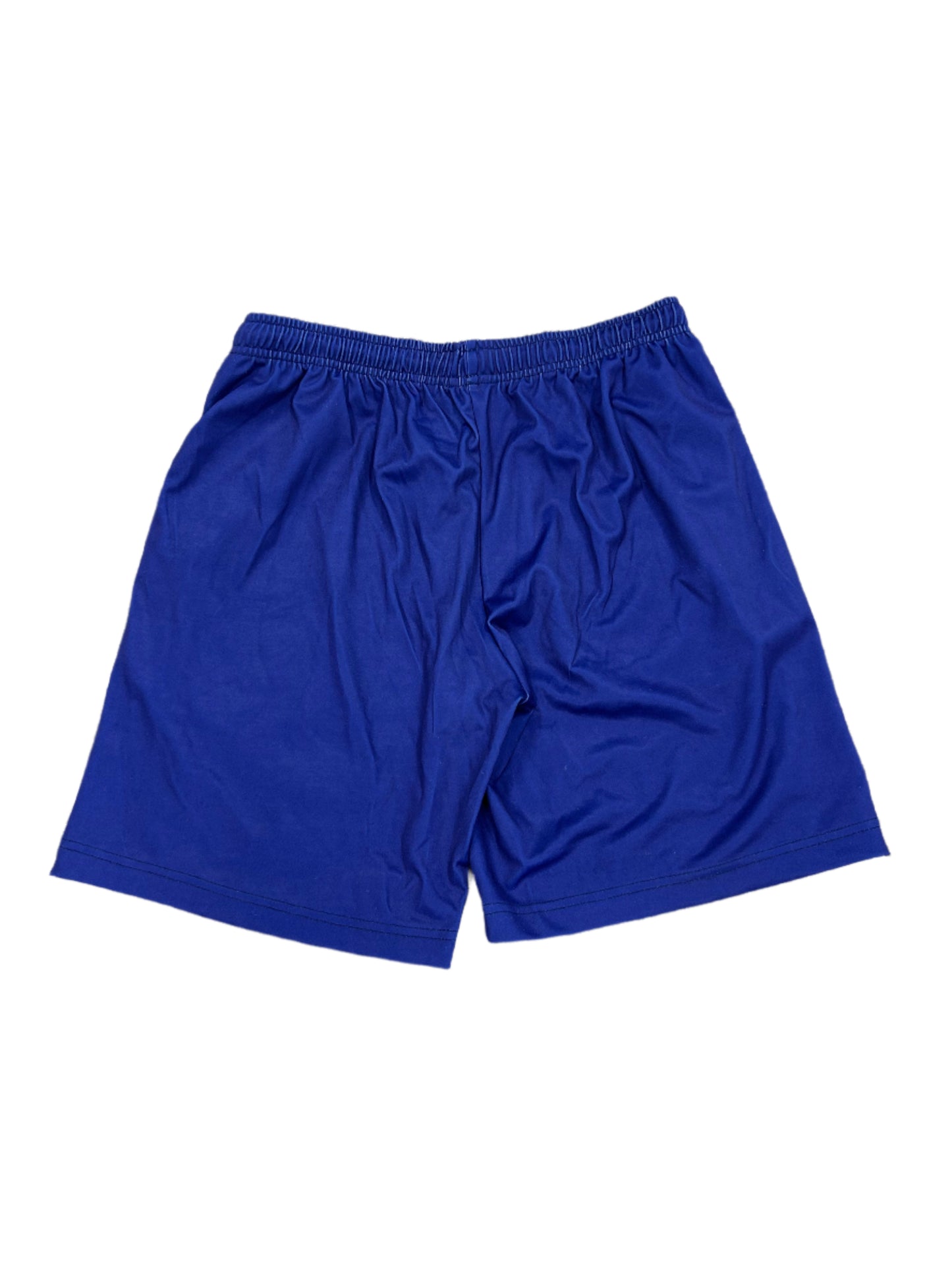 Delhi Capitals IPL Player Issue Training Shorts