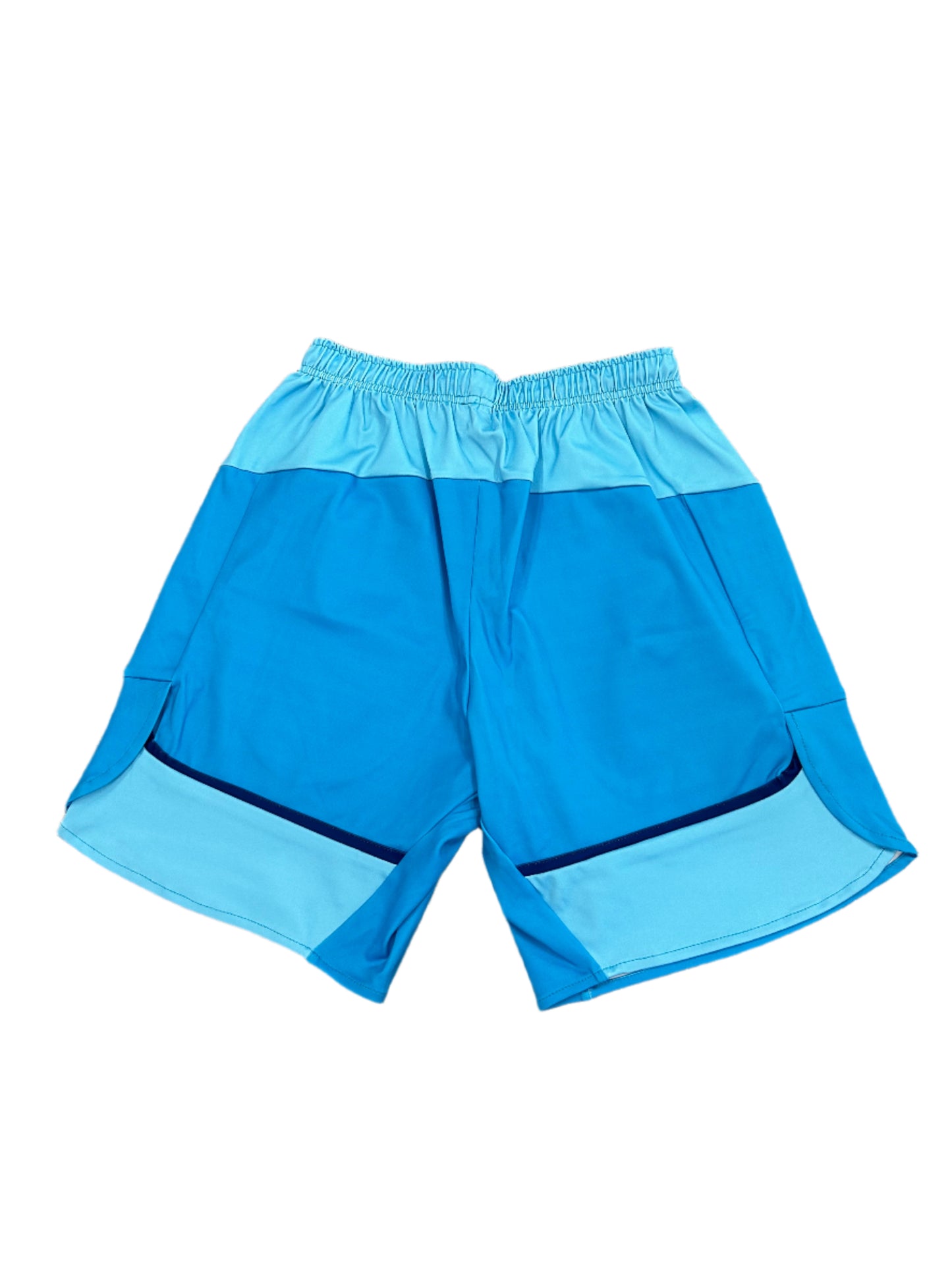 Lucknow Super Giants 2024 IPL Player Issue Training Shorts