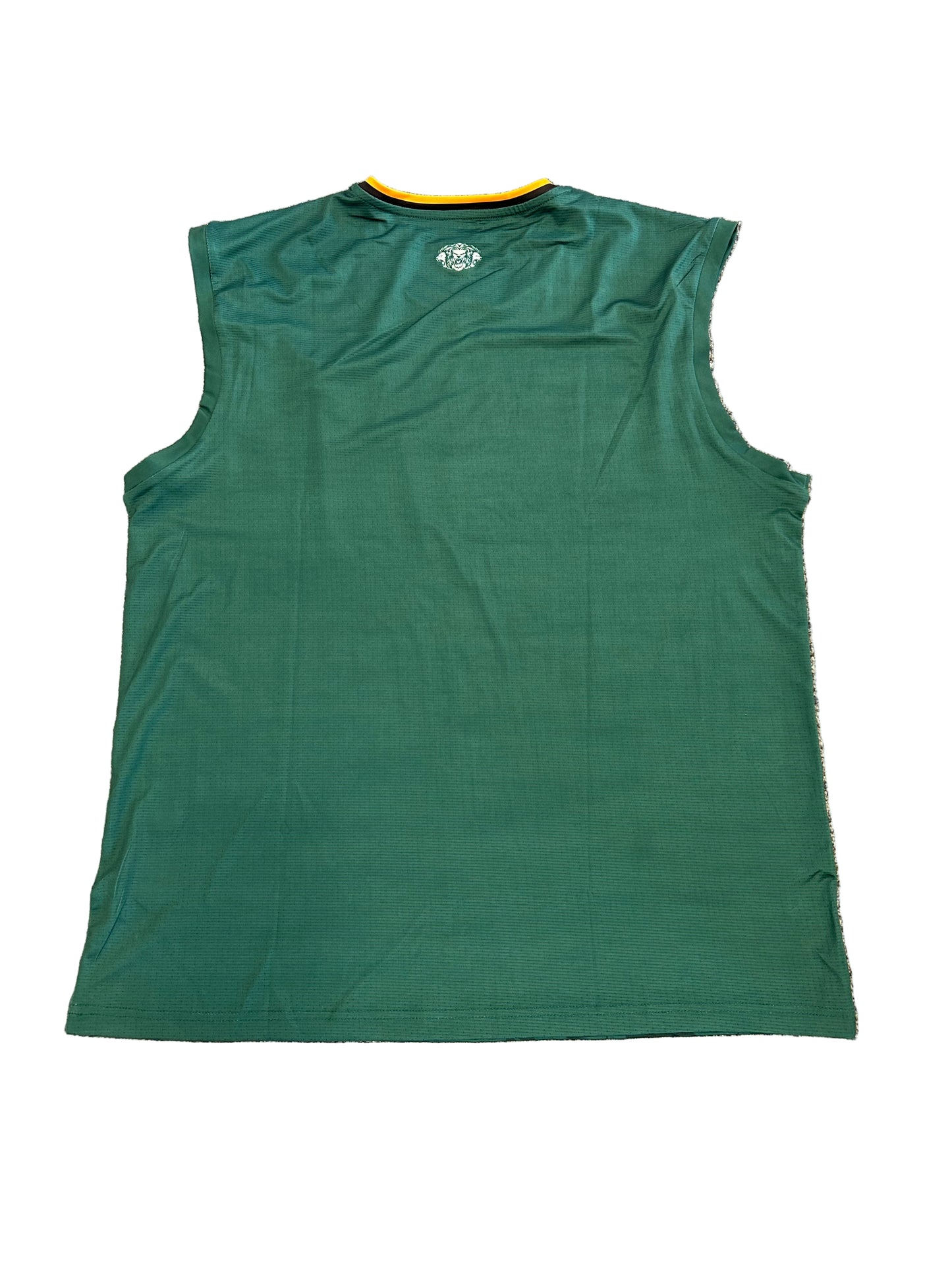 Pretoria Capitals 2025 SA20 Player Issue Training Vest
