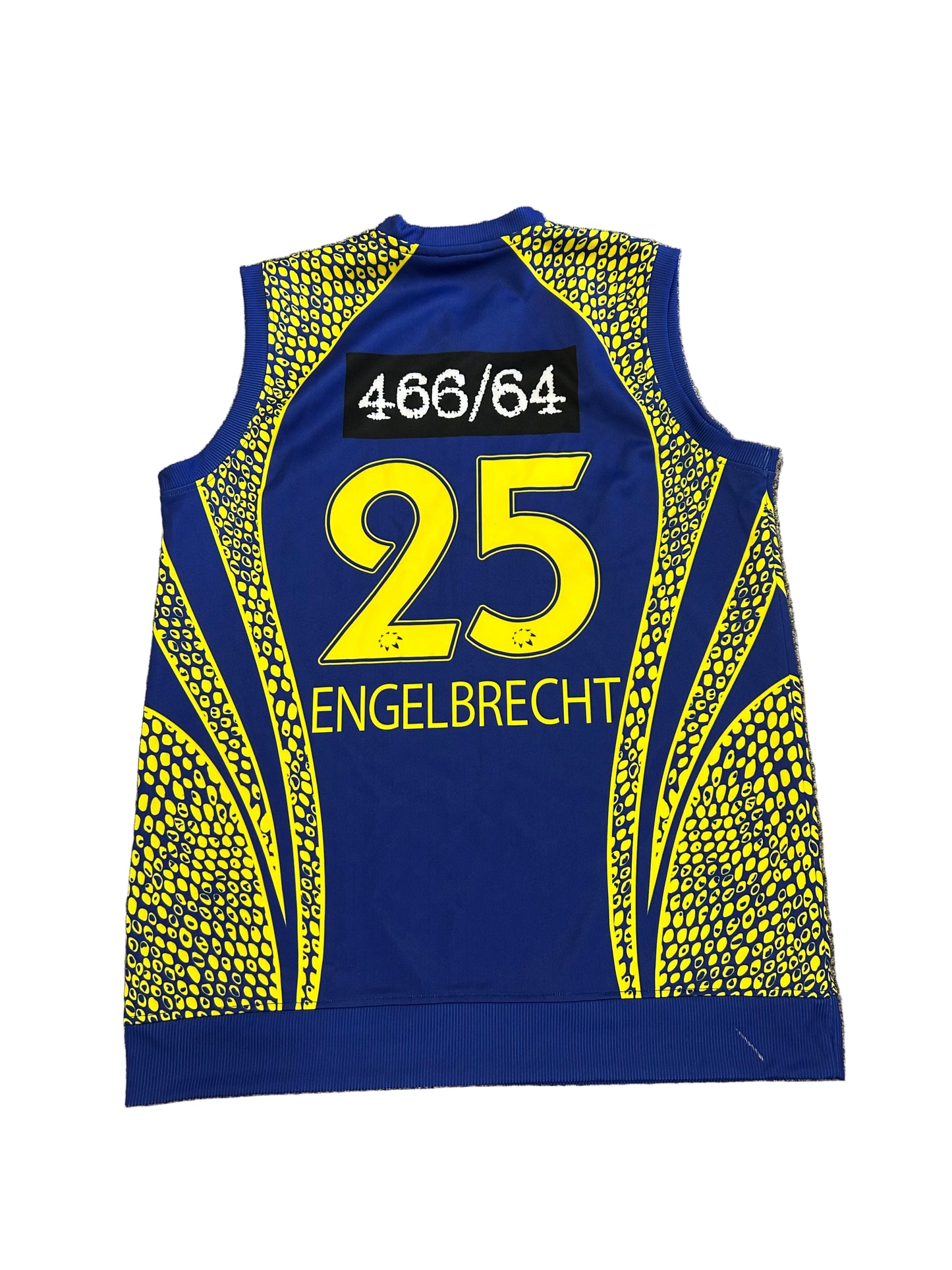 Sybrand Engelbrecht Cape Cobras 2014 Champions League T20 Match Worn Playing Pullover