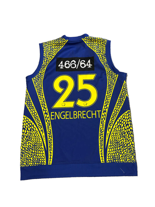 Sybrand Engelbrecht Cape Cobras 2014 Champions League T20 Match Worn Playing Pullover