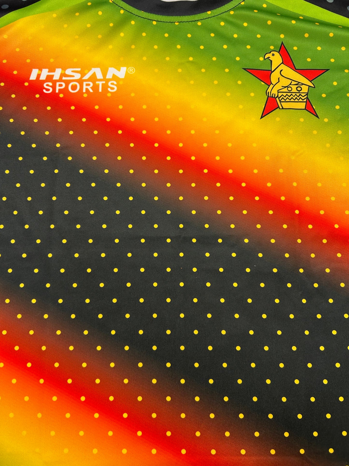 Zimbabwe 2025 Player Issue SS Training T-Shirt
