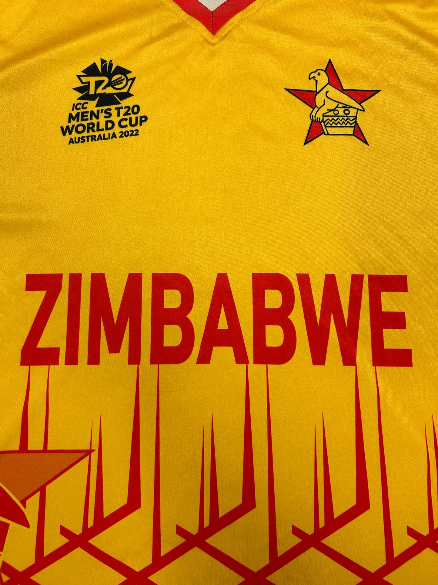 Zimbabwe 2022 T20 World Cup Player Issue SS Playing Shirt