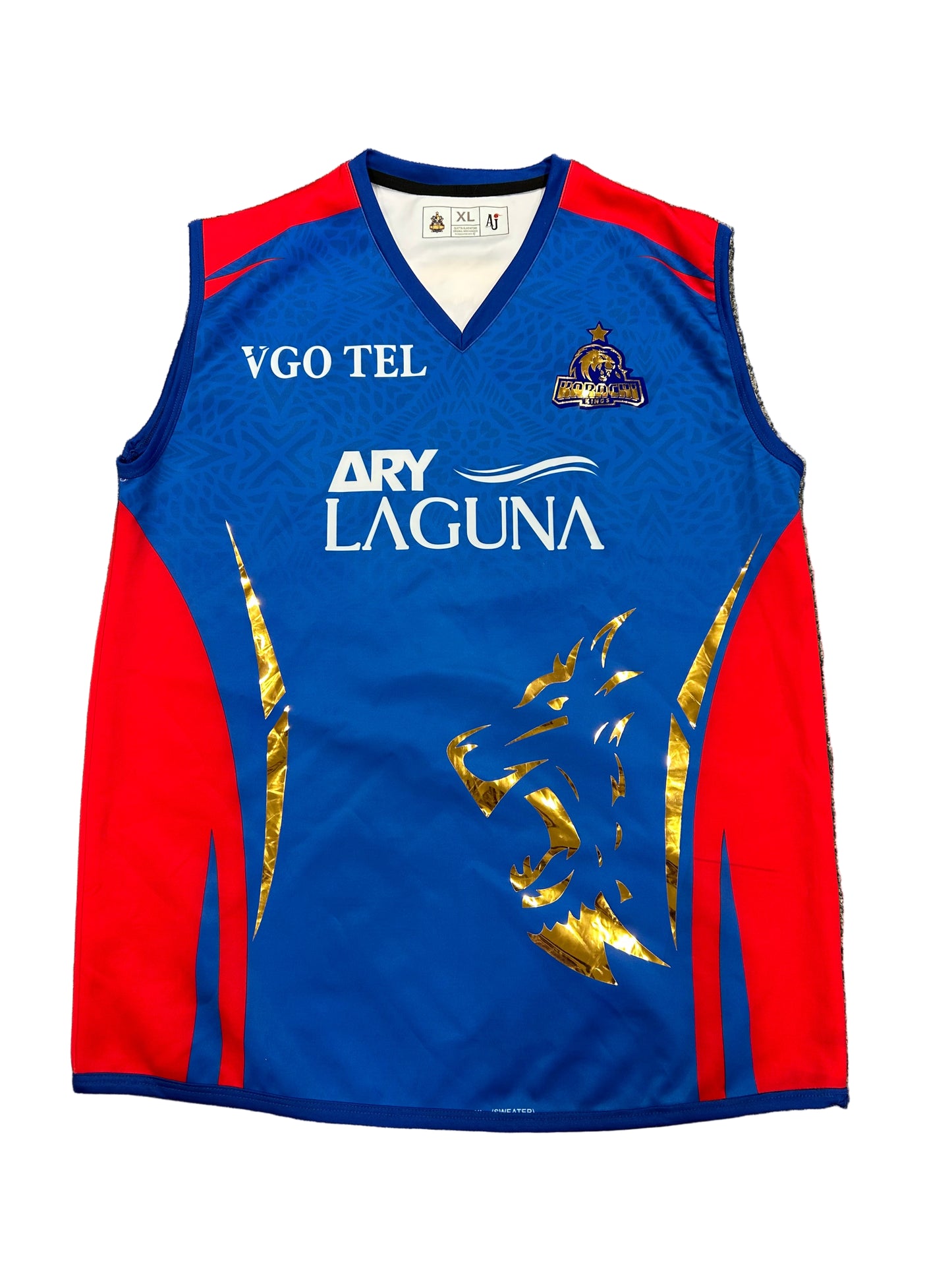 Tabraiz Shamsi Karachi Kings 2024 PSL Match Worn Playing Pullover
