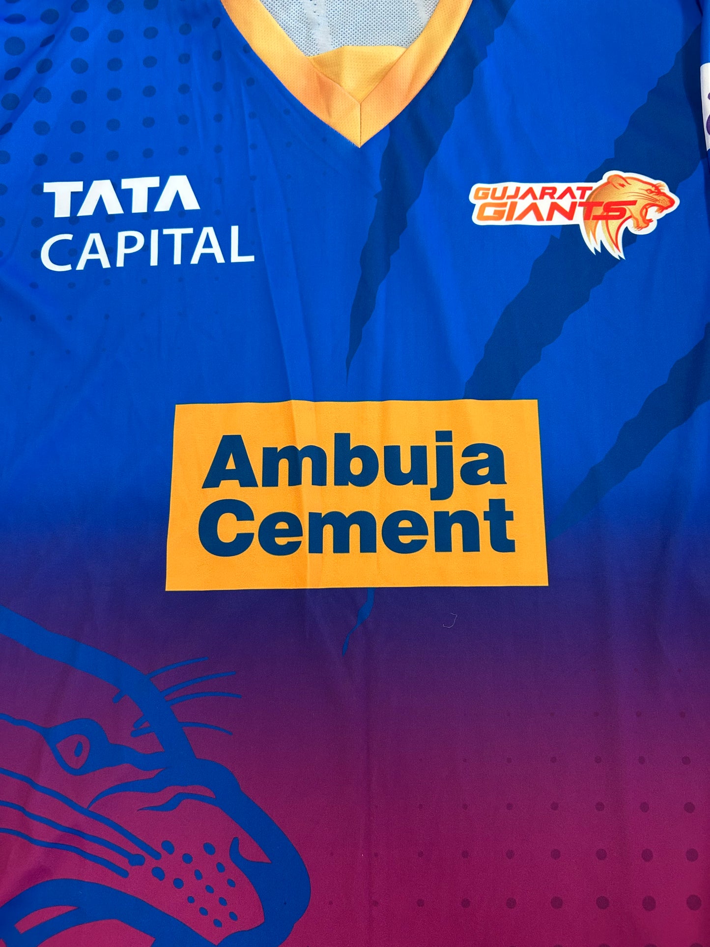 Gujarat Giants 2023 WPL Player Issue LS Training T-Shirt